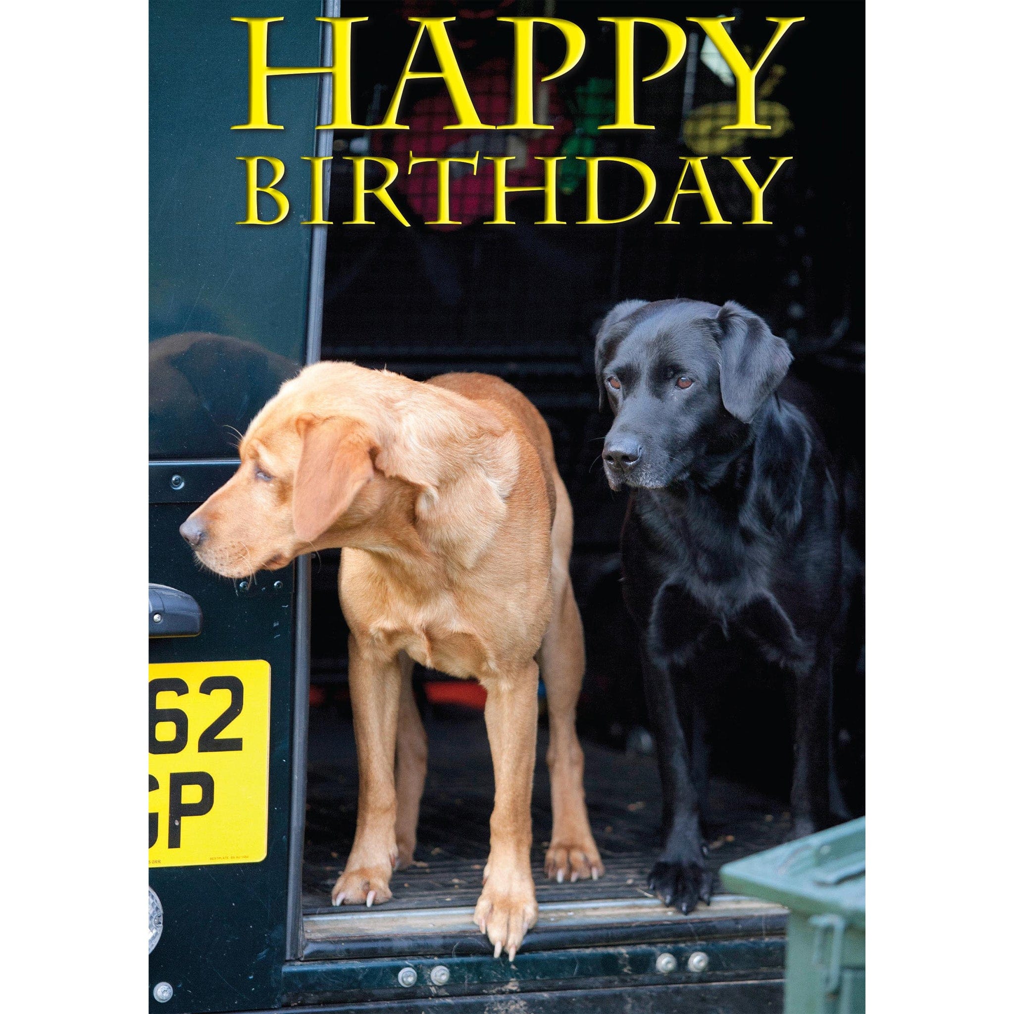 Fox Red and Black Labrador Birthday Card CSPBIRTH36