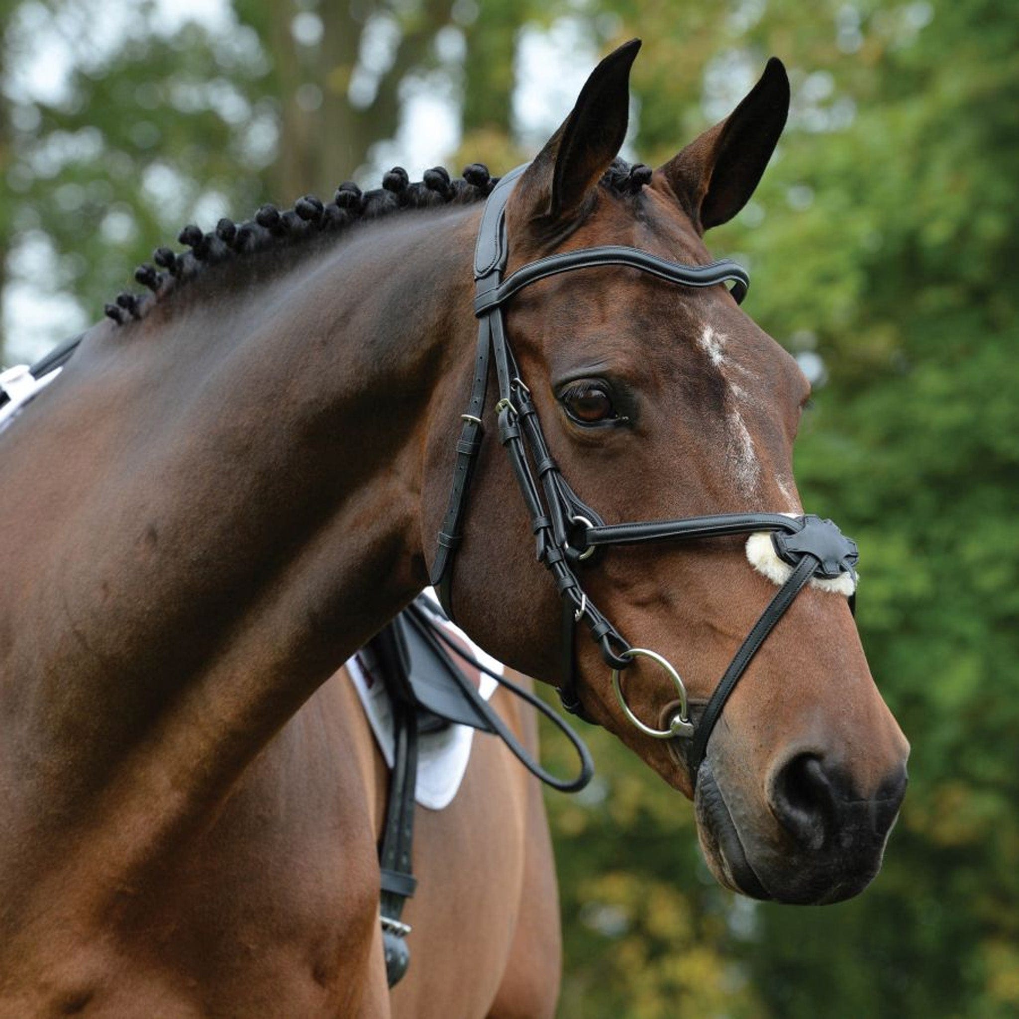 Collegiate ComFiTec Grackle Bridle