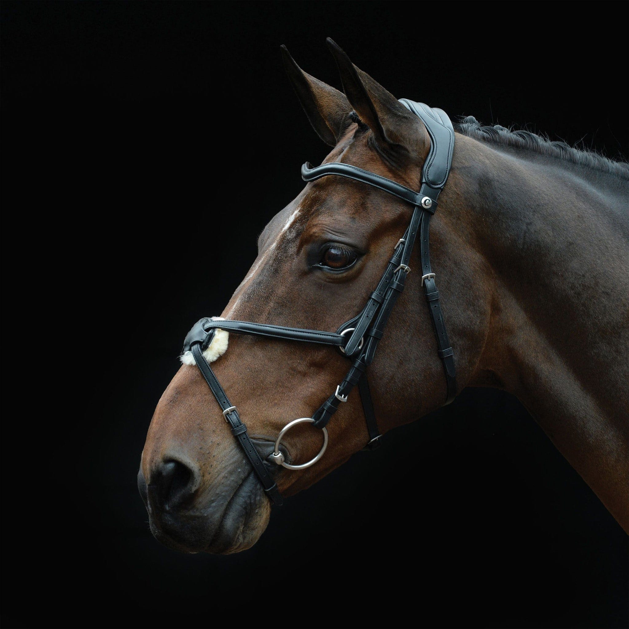 Collegiate ComFiTec Grackle Bridle