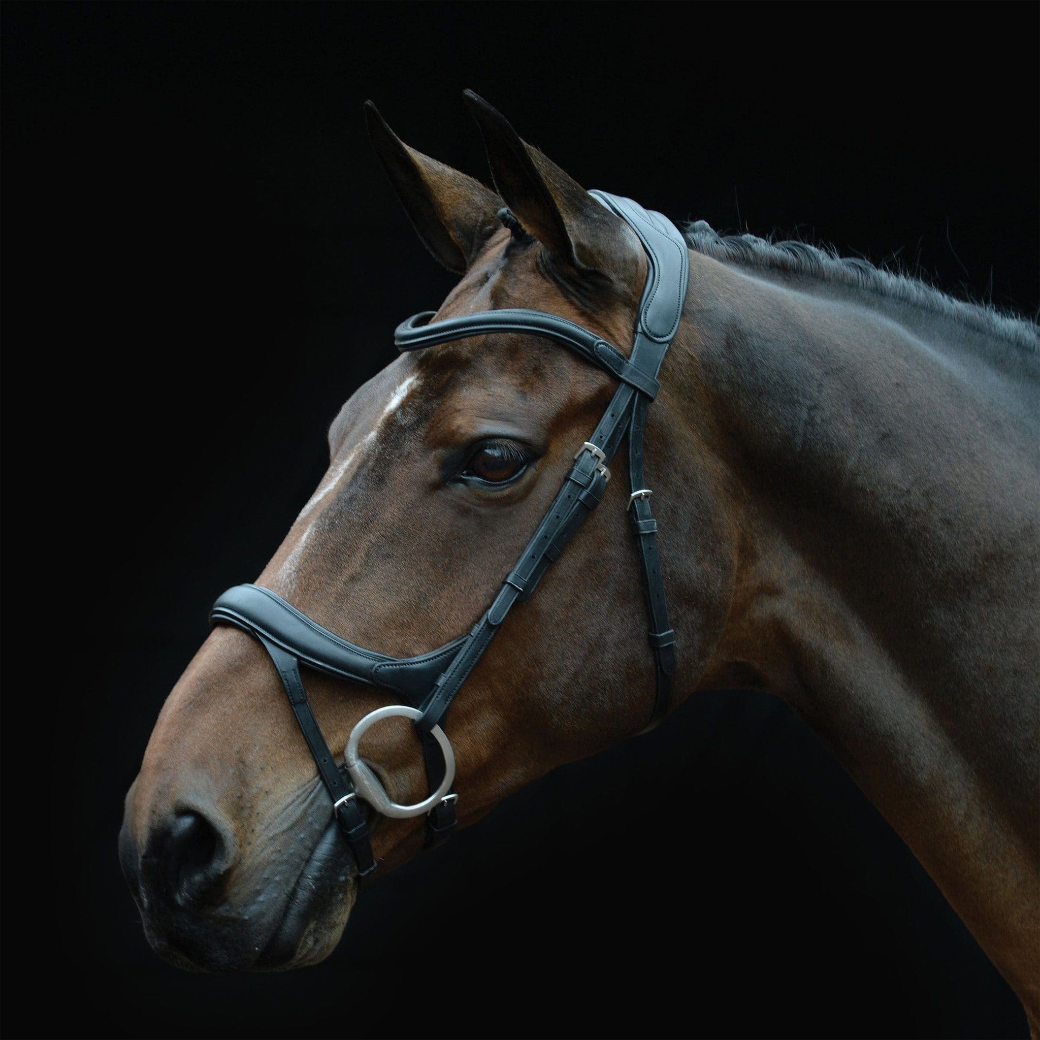 Collegiate ComFiTec Vogue Anatomical Bridle