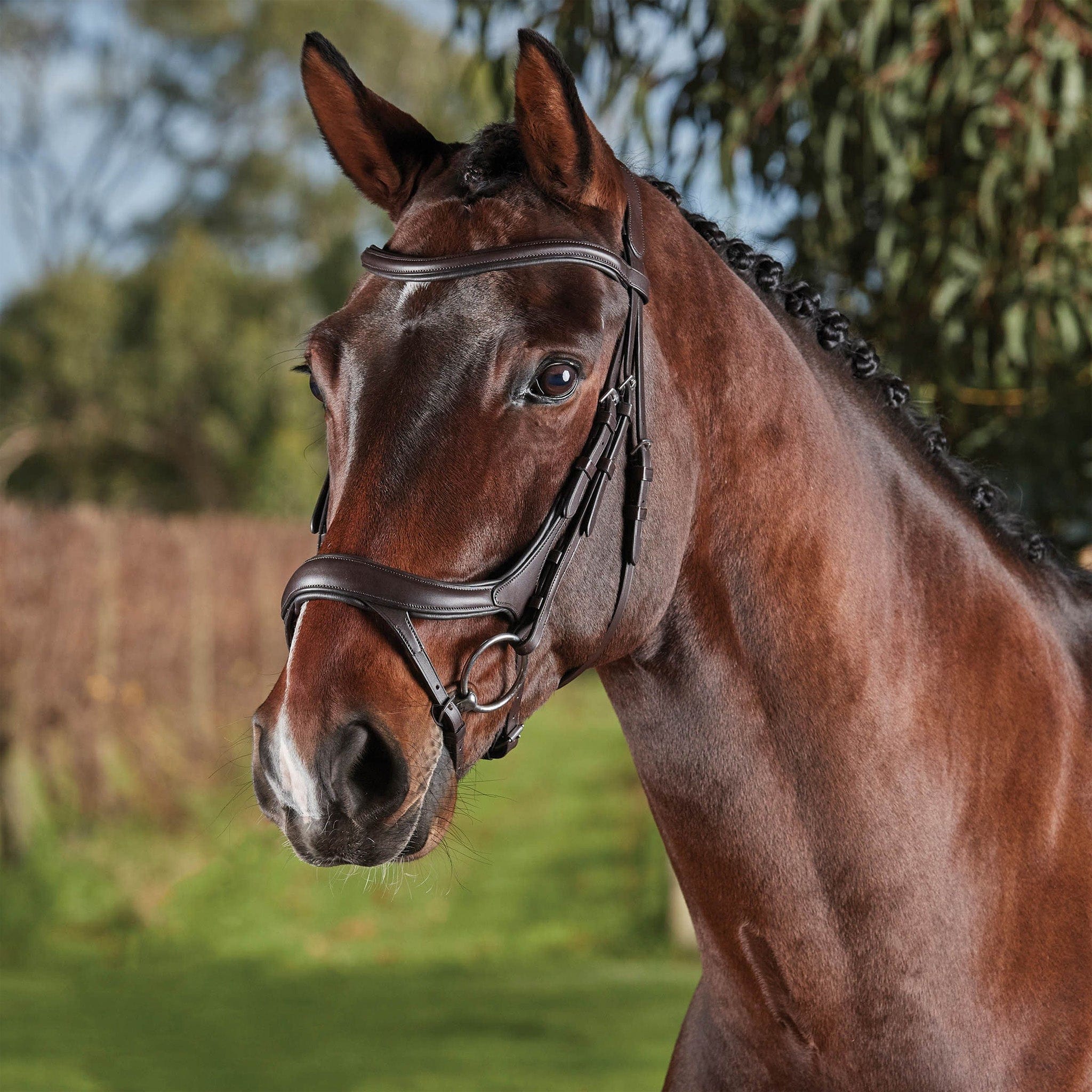 Collegiate Comfitec Vogue Anatomical Bridle - Warmblood · Brown