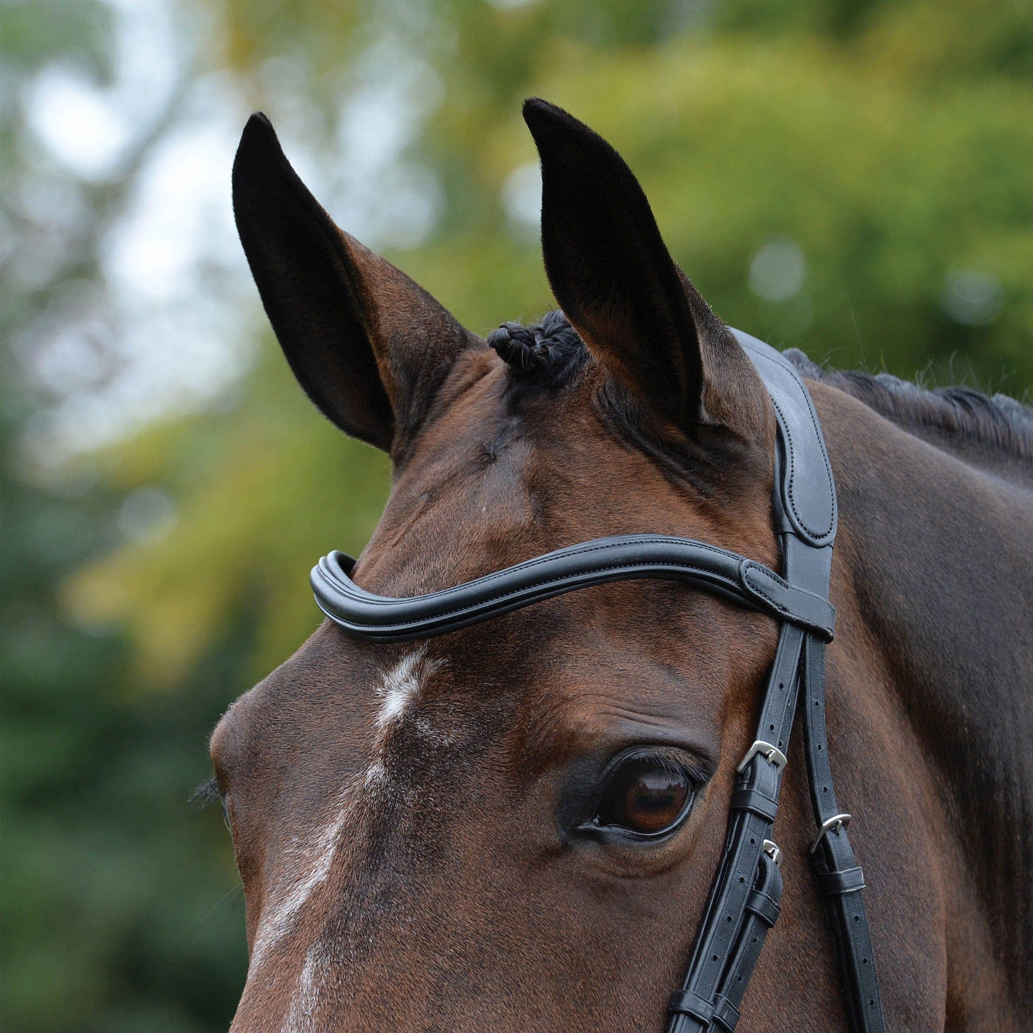 Collegiate ComFiTec Vogue Anatomical Bridle