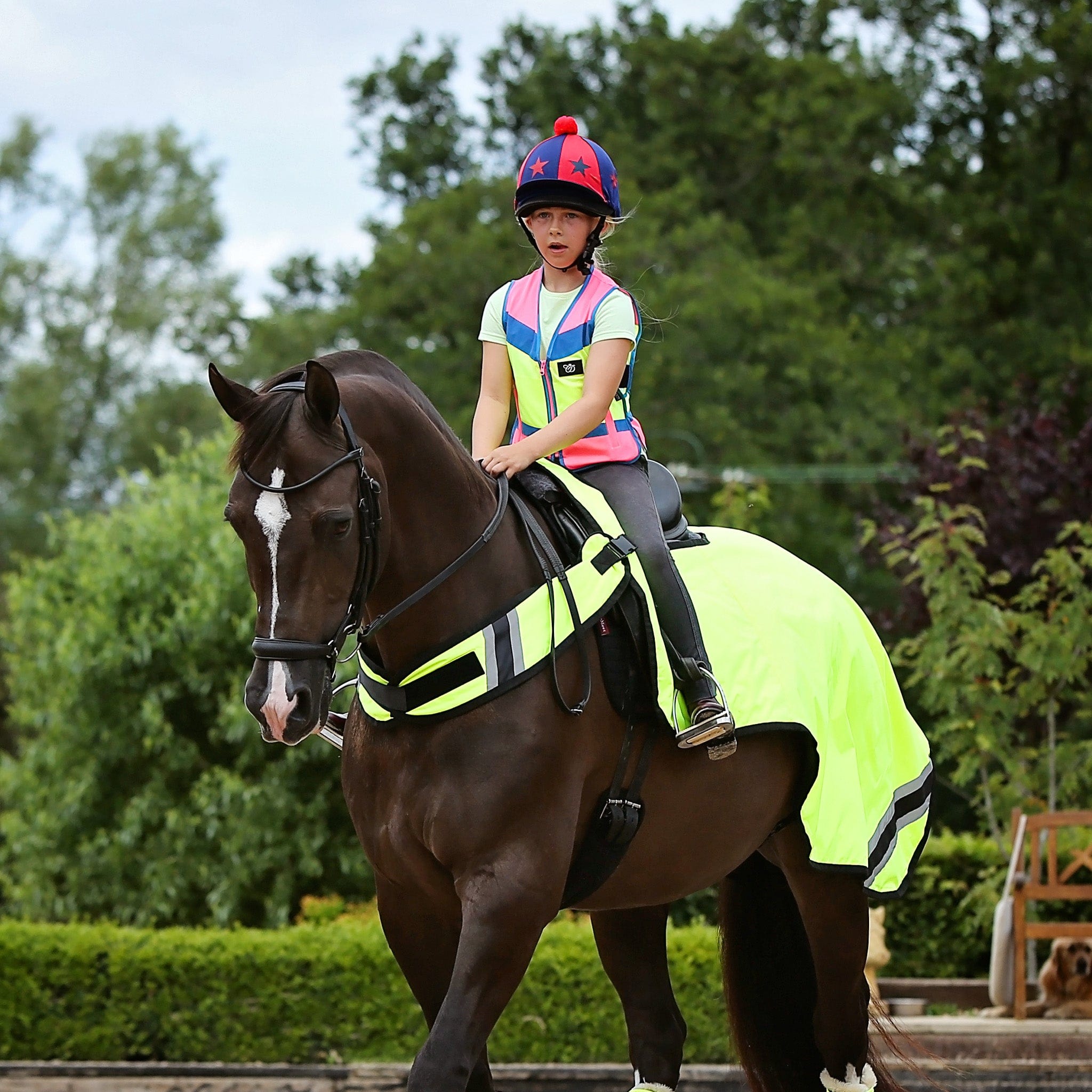 Equisafety Hi Viz Winter Wrap Around Sheet