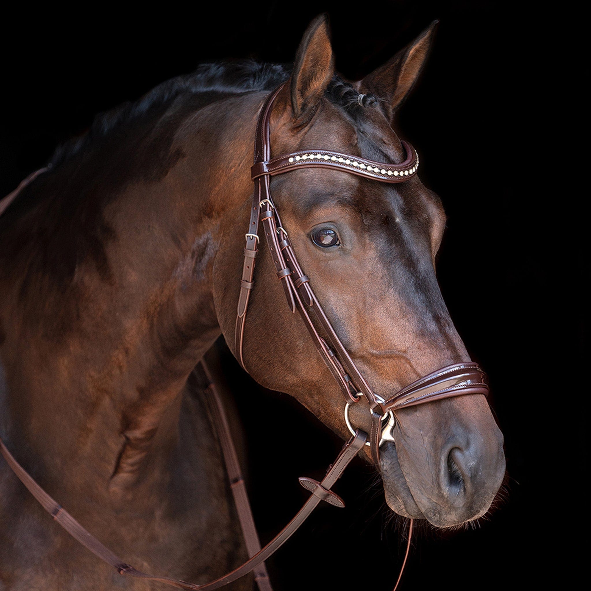 Photos - Equestrianism Hkm Carolin Bridle Brown - Pony · Brown 999/4682/2400/622