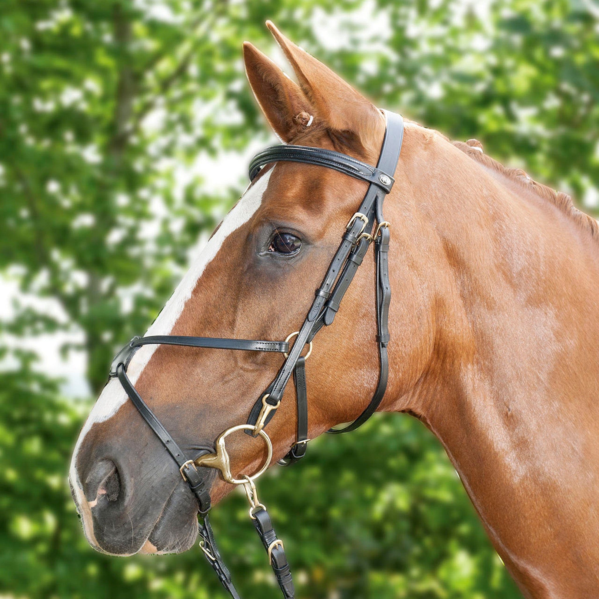 HKM Mexican Grackle Bridle
