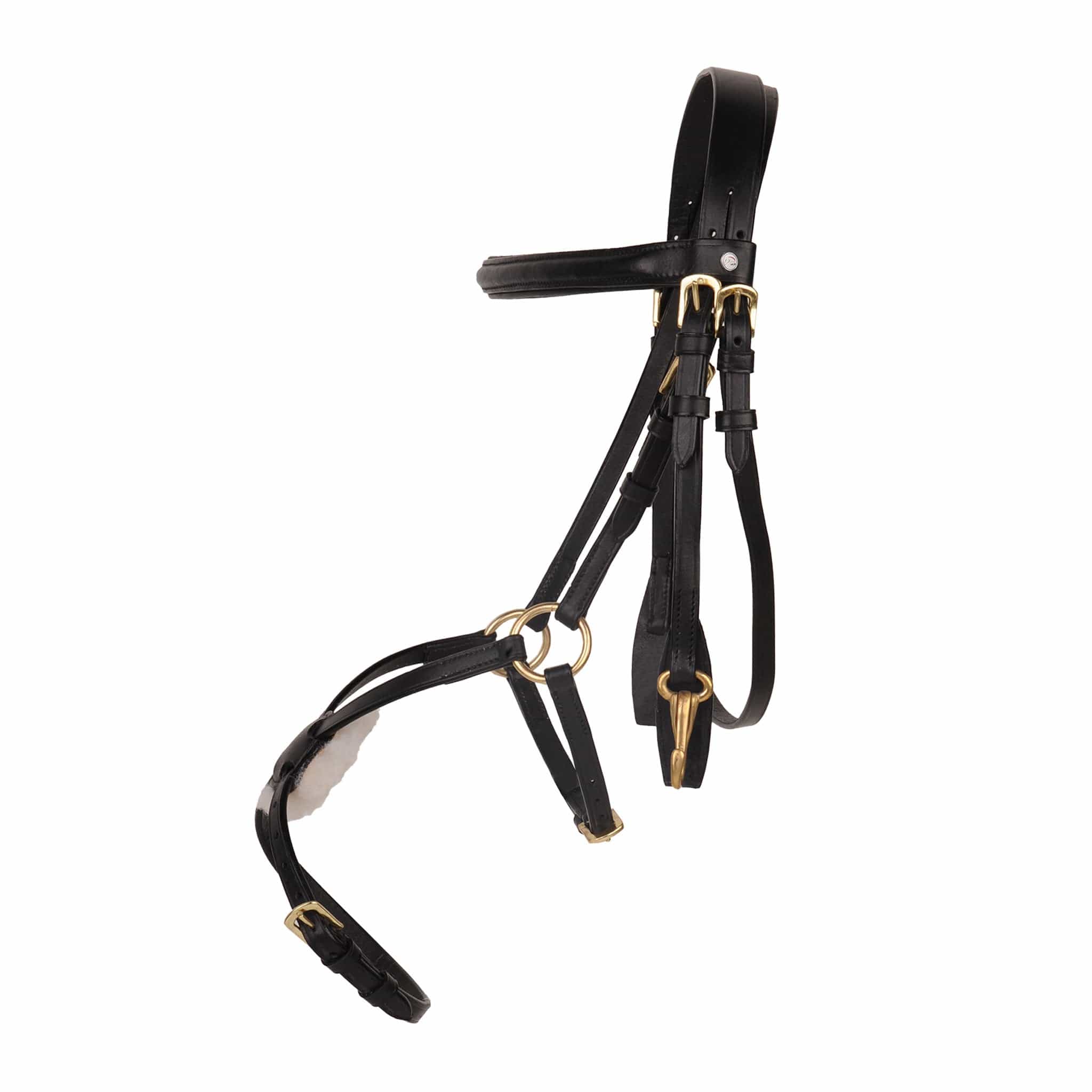 HKM Mexican Grackle Bridle
