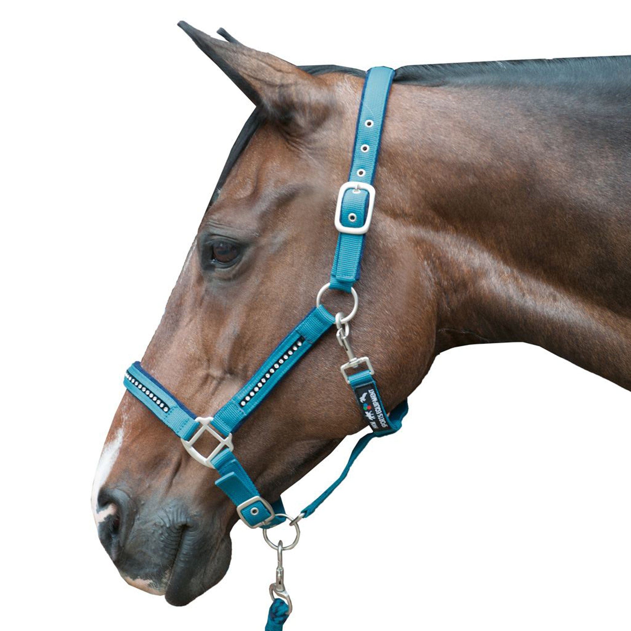 Rainbow Diamanté Crystal Leather Horse offers Cob Pony Padded Headcollar Halter