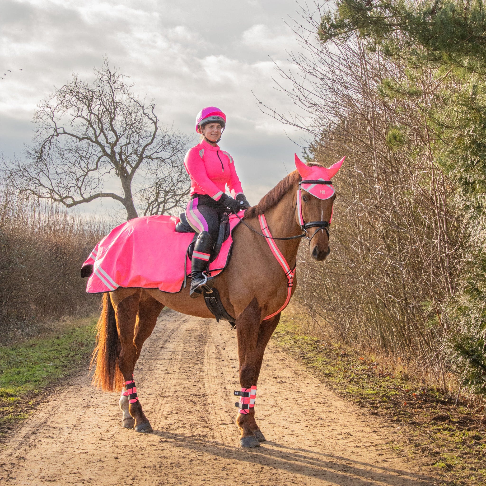 Hi viz hot sale horse boots