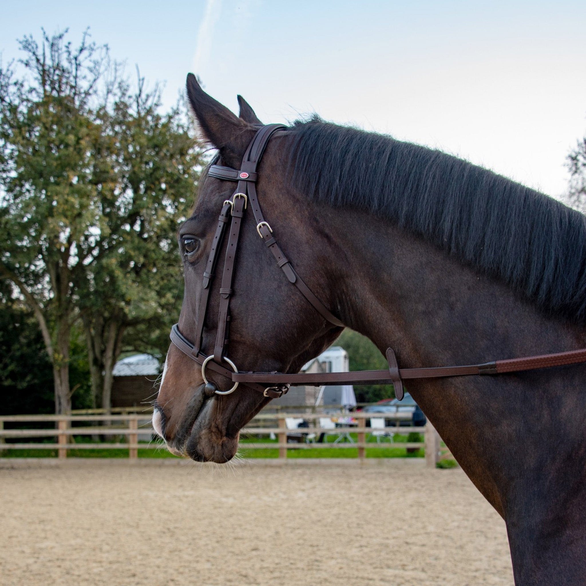 John Whitaker Ready to Ride Snaffle Bridle - Pony · Brown