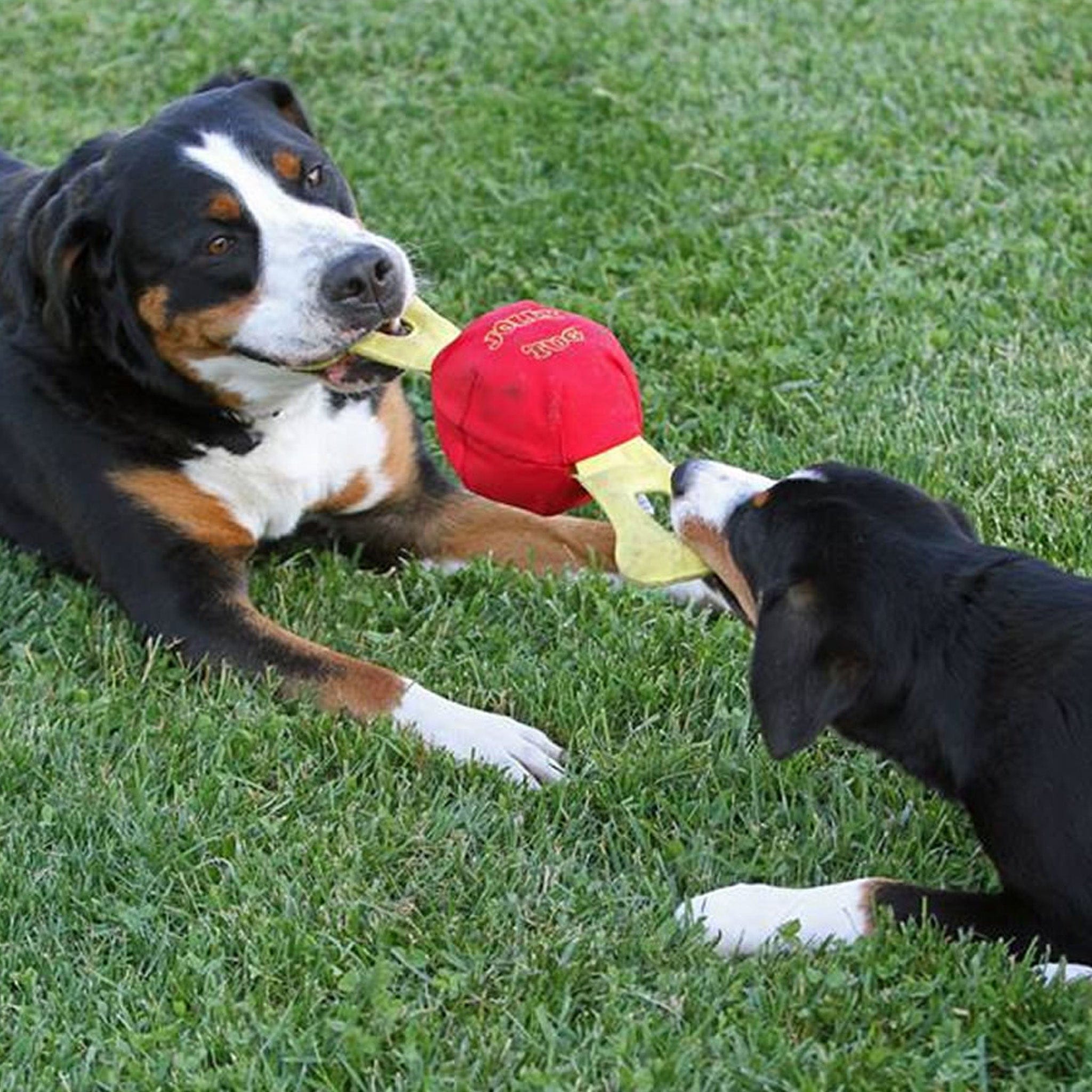 Jolly tug dog store toy