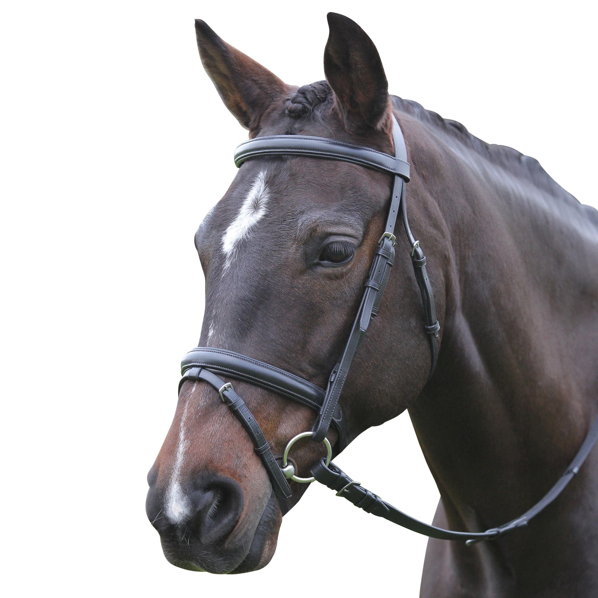 Kincade Flash Bridle II