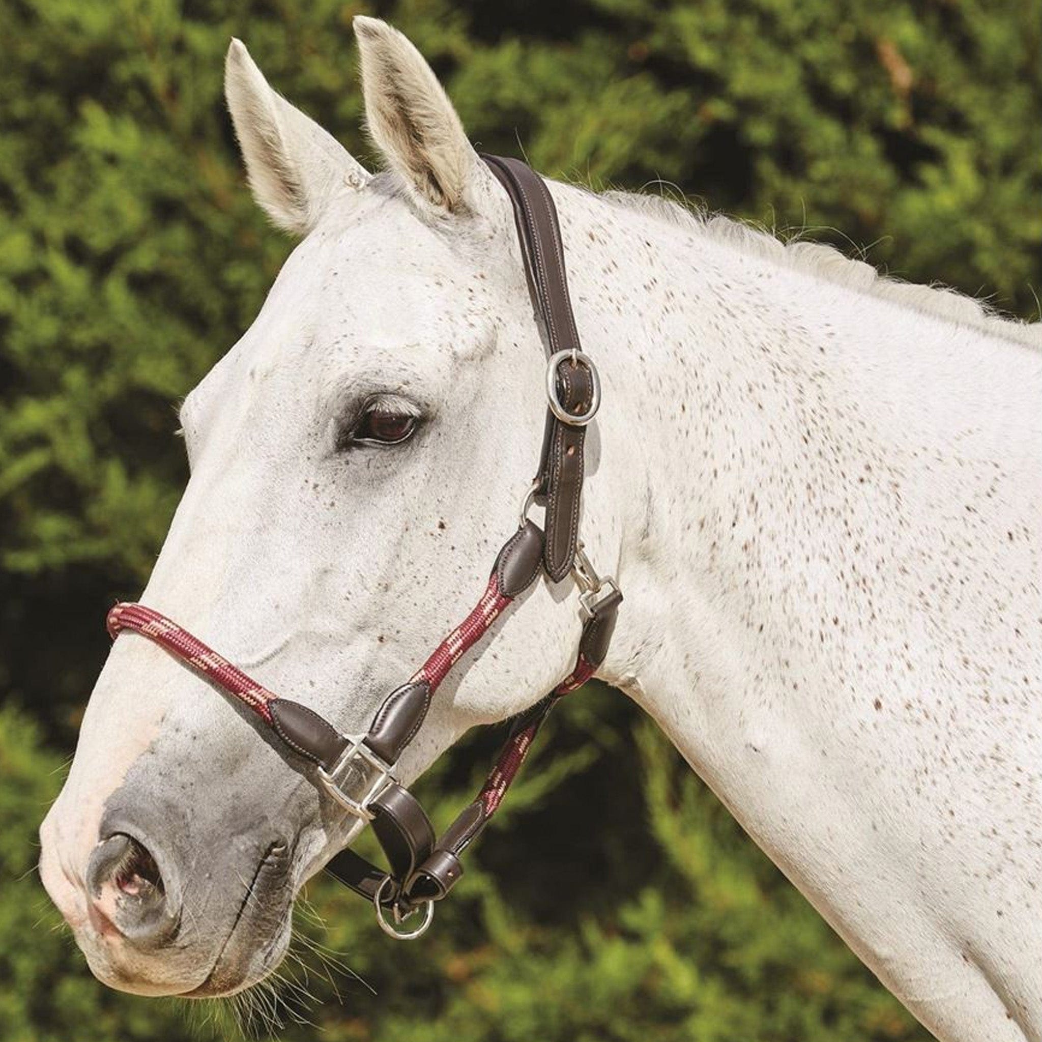 Kincade Leather Rope Headcollar - Pony · Burgundy and Brown