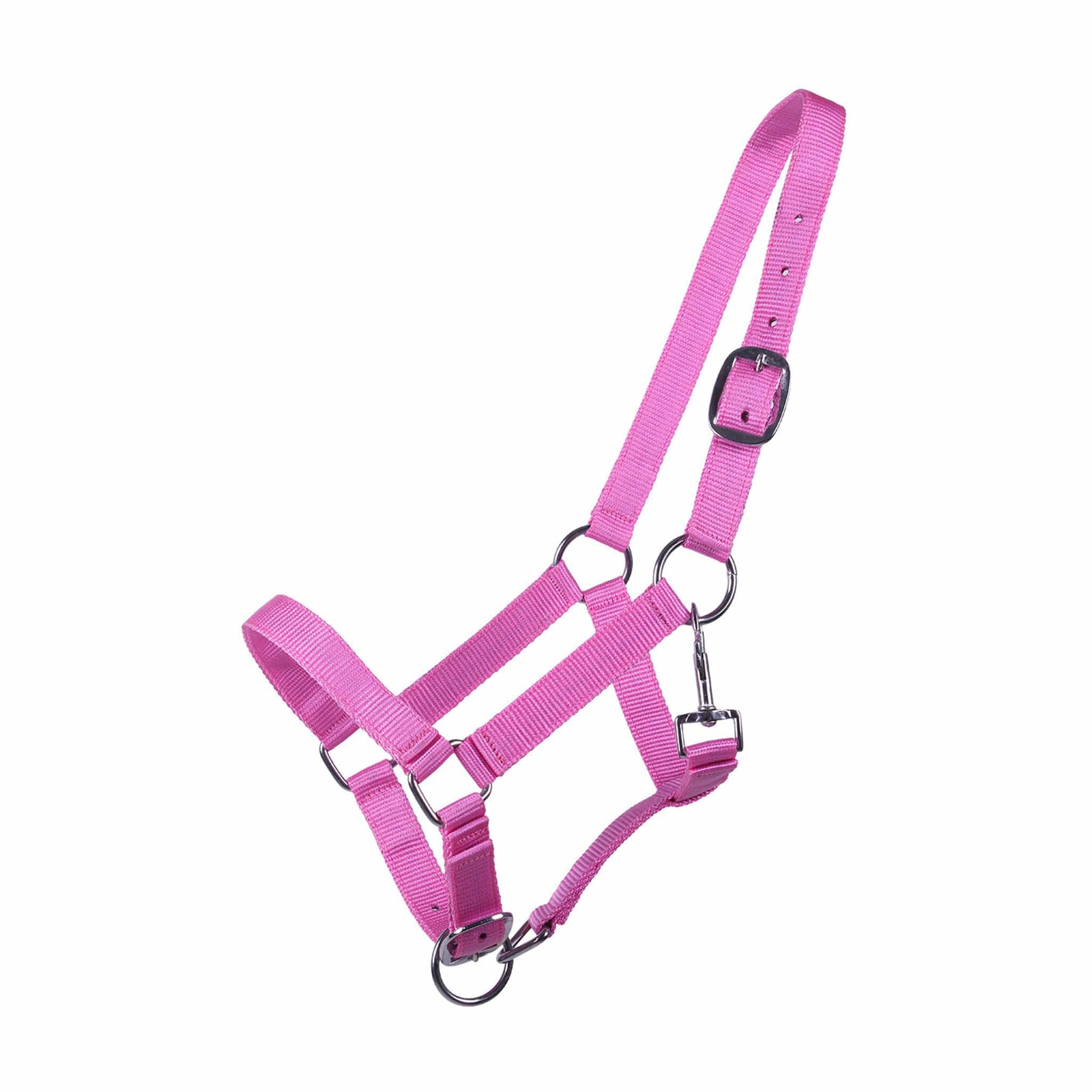 Qhp Yearling Headcollar - Pink