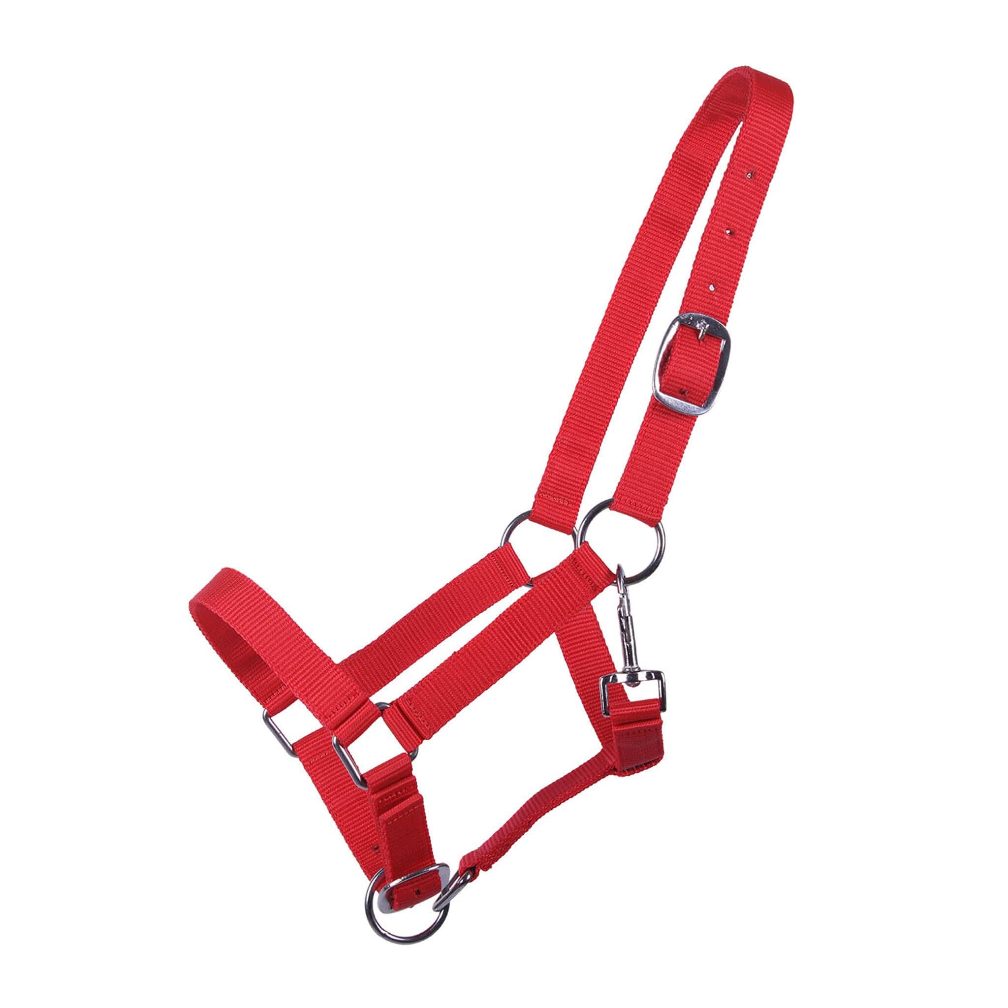 Qhp Yearling Headcollar - Red