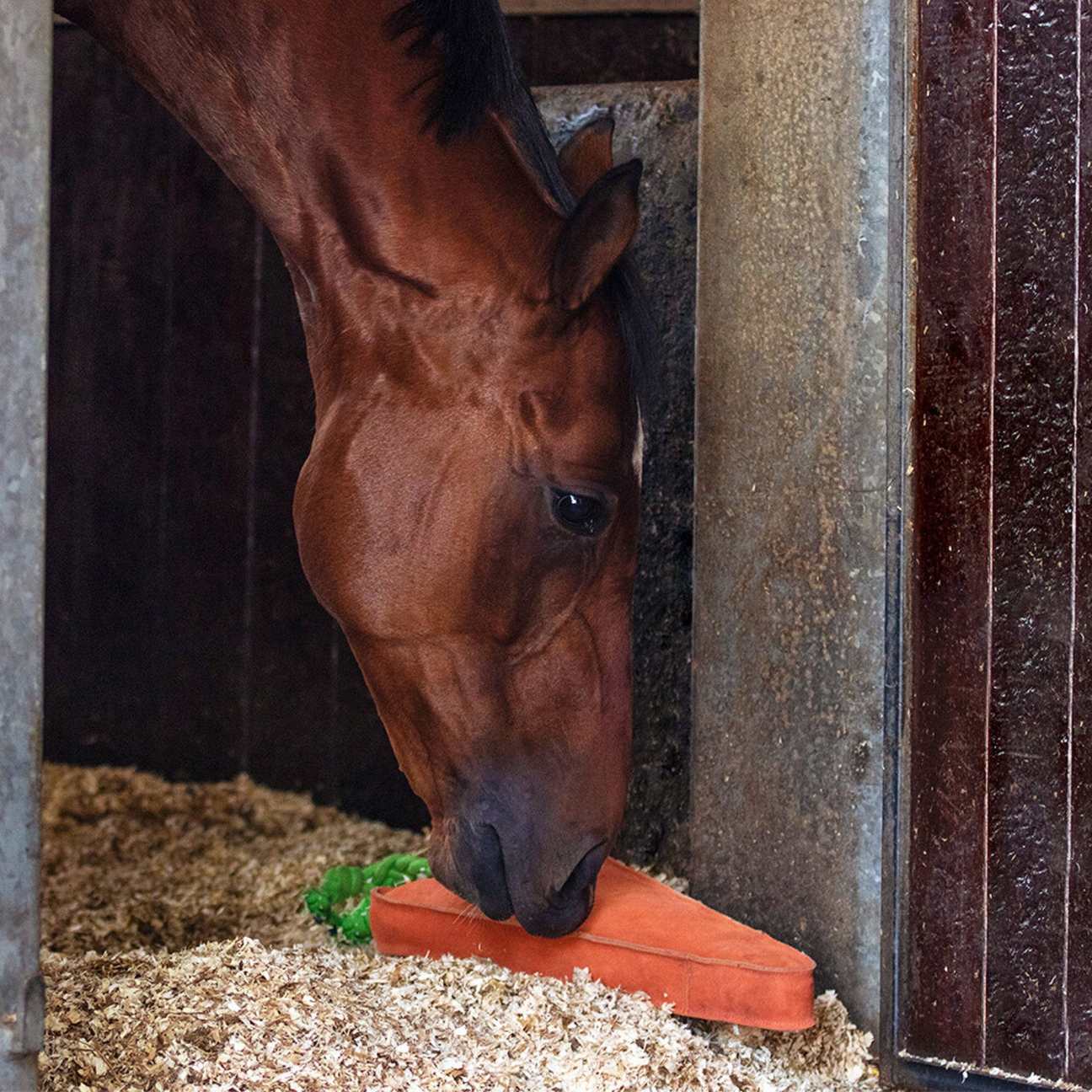 Horse Toys Stable & Boredom Toys for Horses EQUUS