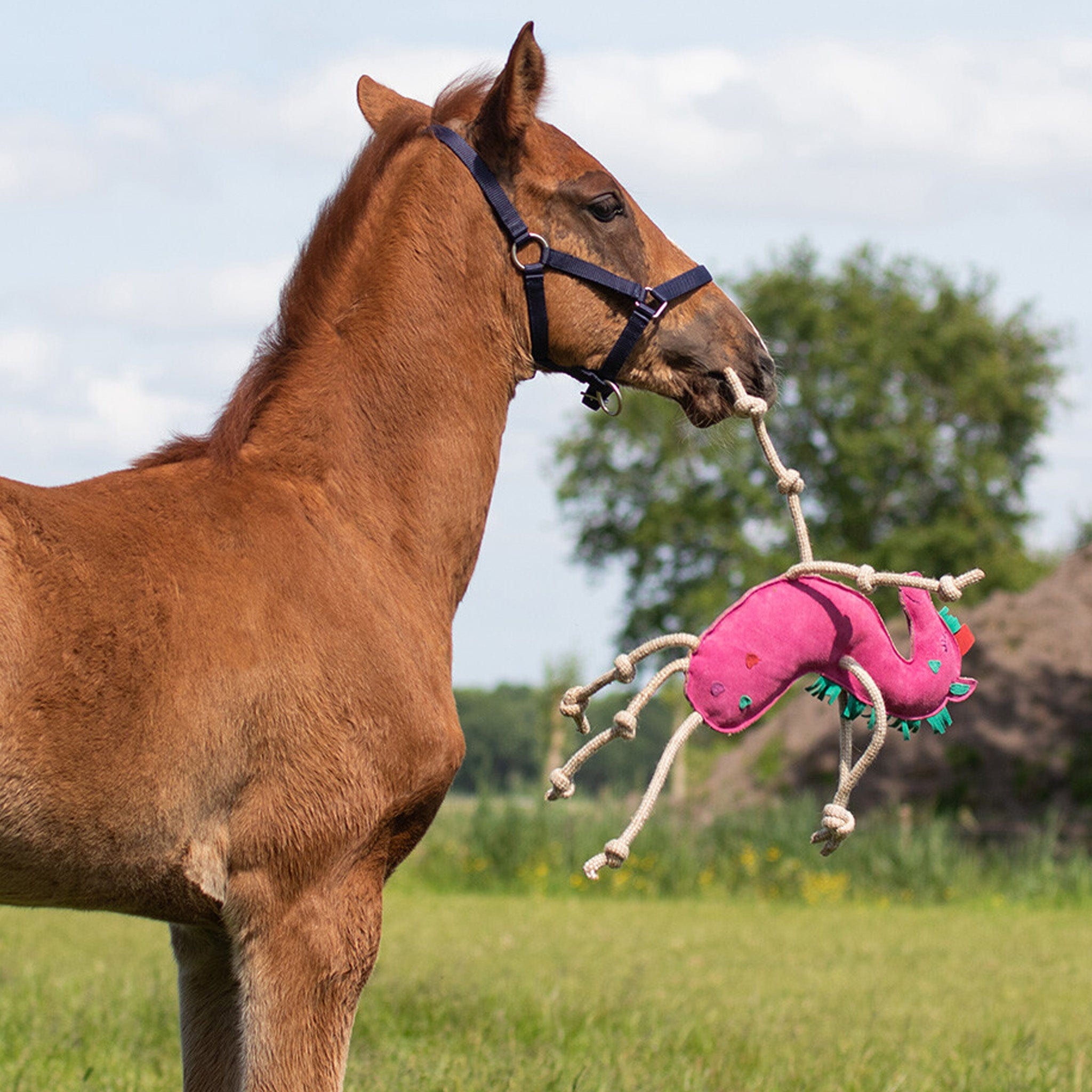 Qhp Horse Toy Equus