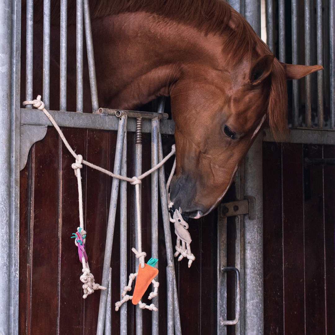 Horse Toys Stable & Boredom Toys for Horses EQUUS