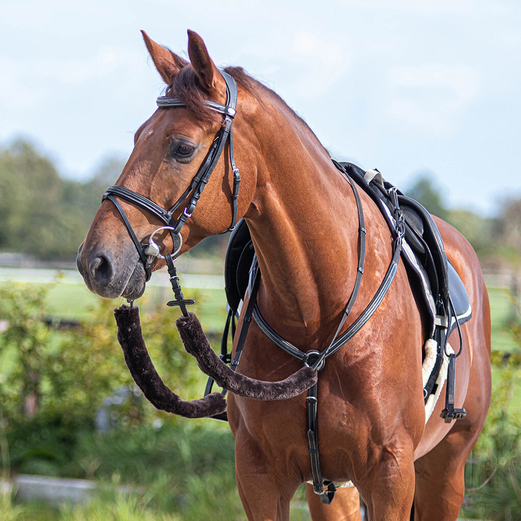 Horse on sale tack accessories