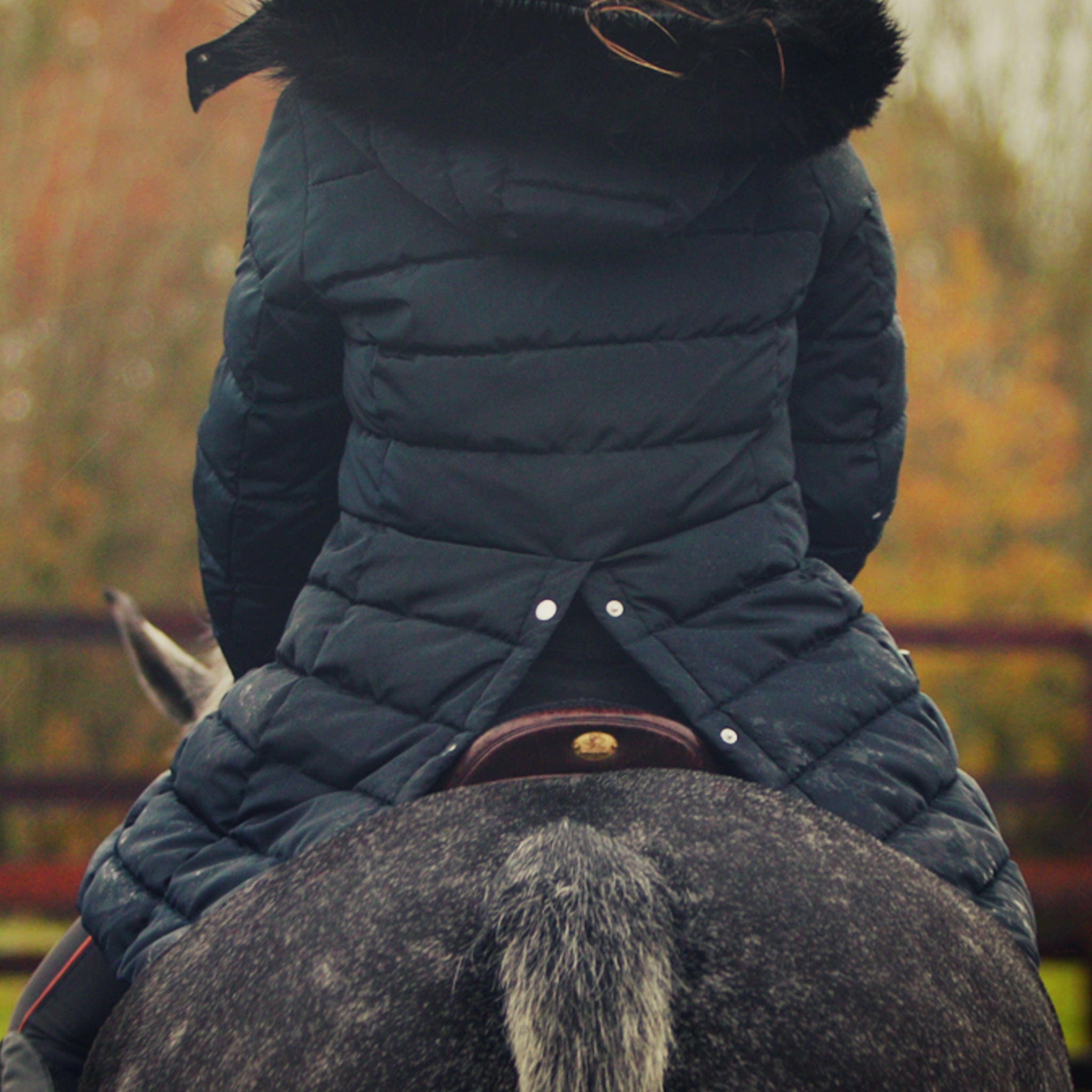 EQUUS Riding Coat EQUUSRC Navy Back Riding Vent On Rider