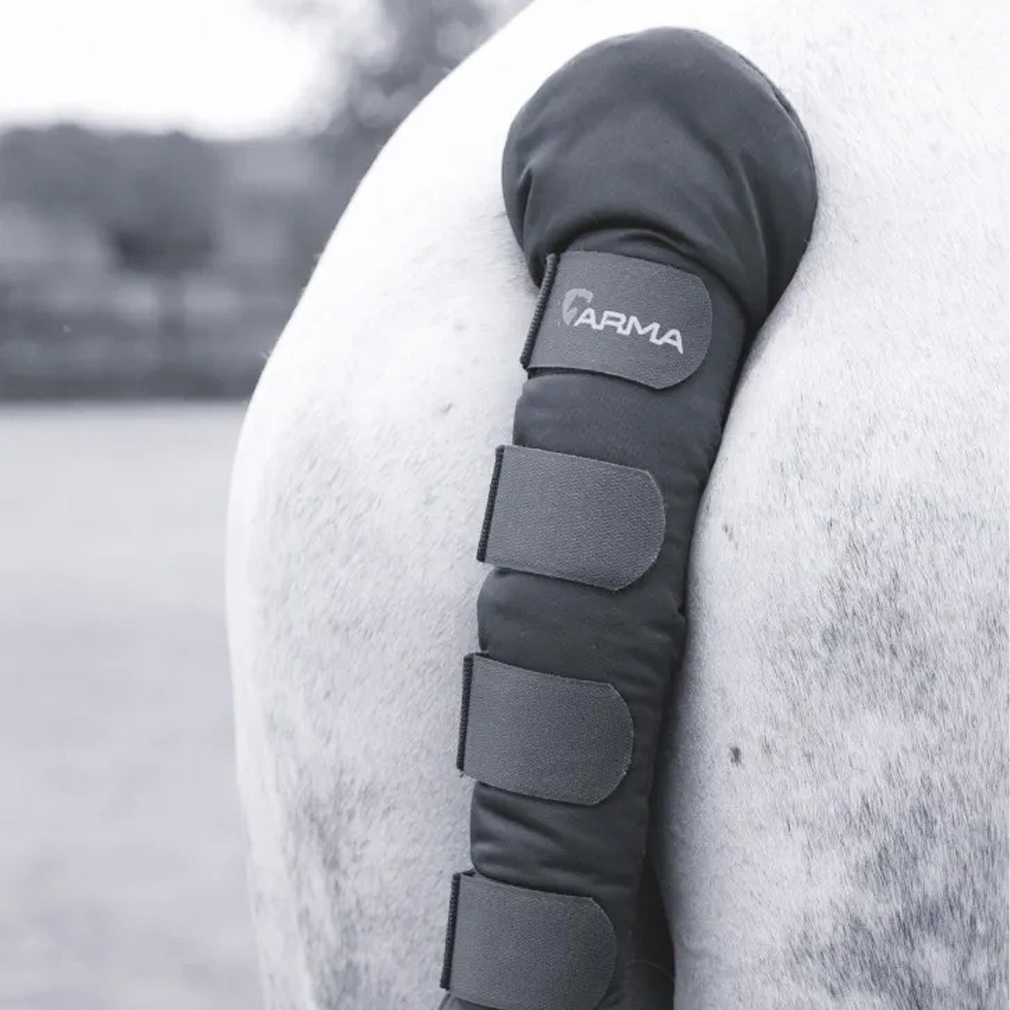 Shires Padded Tail Guard - Black