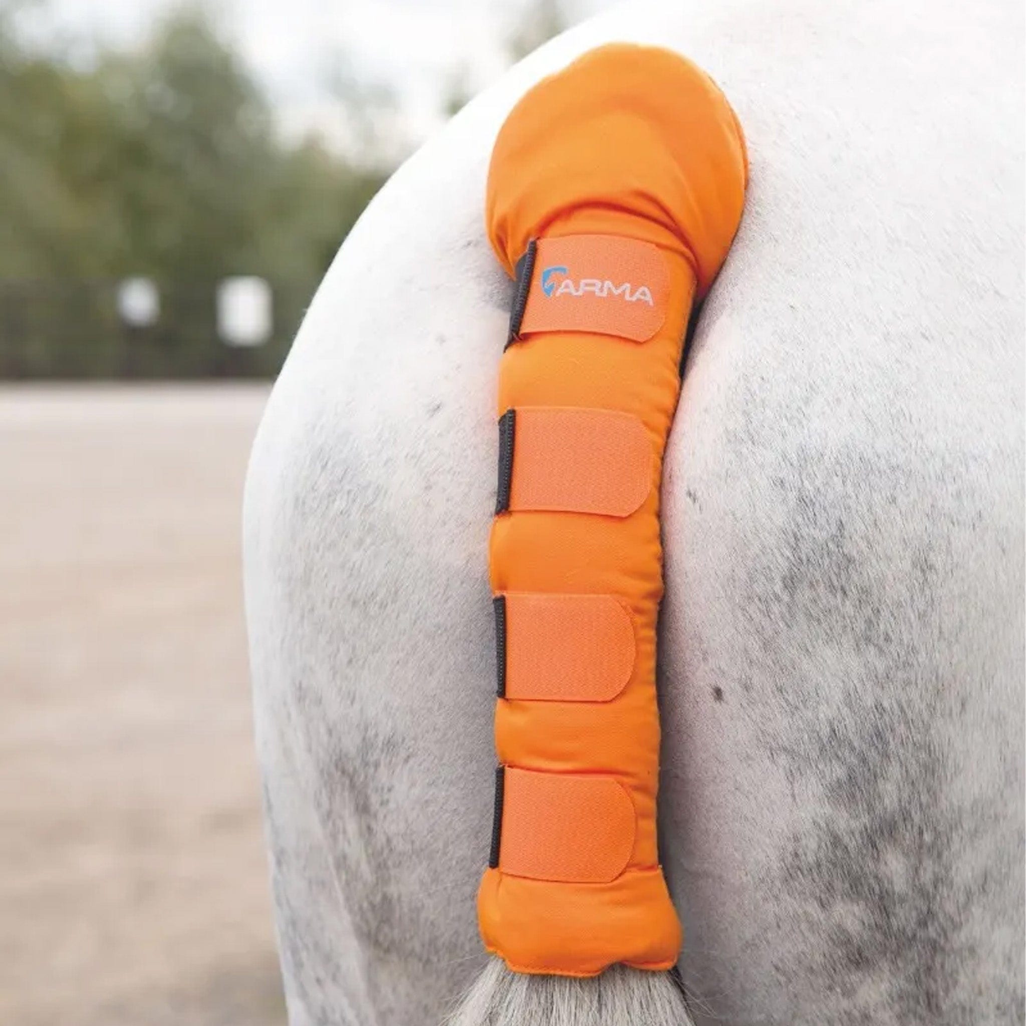 Shires Padded Tail Guard - Orange