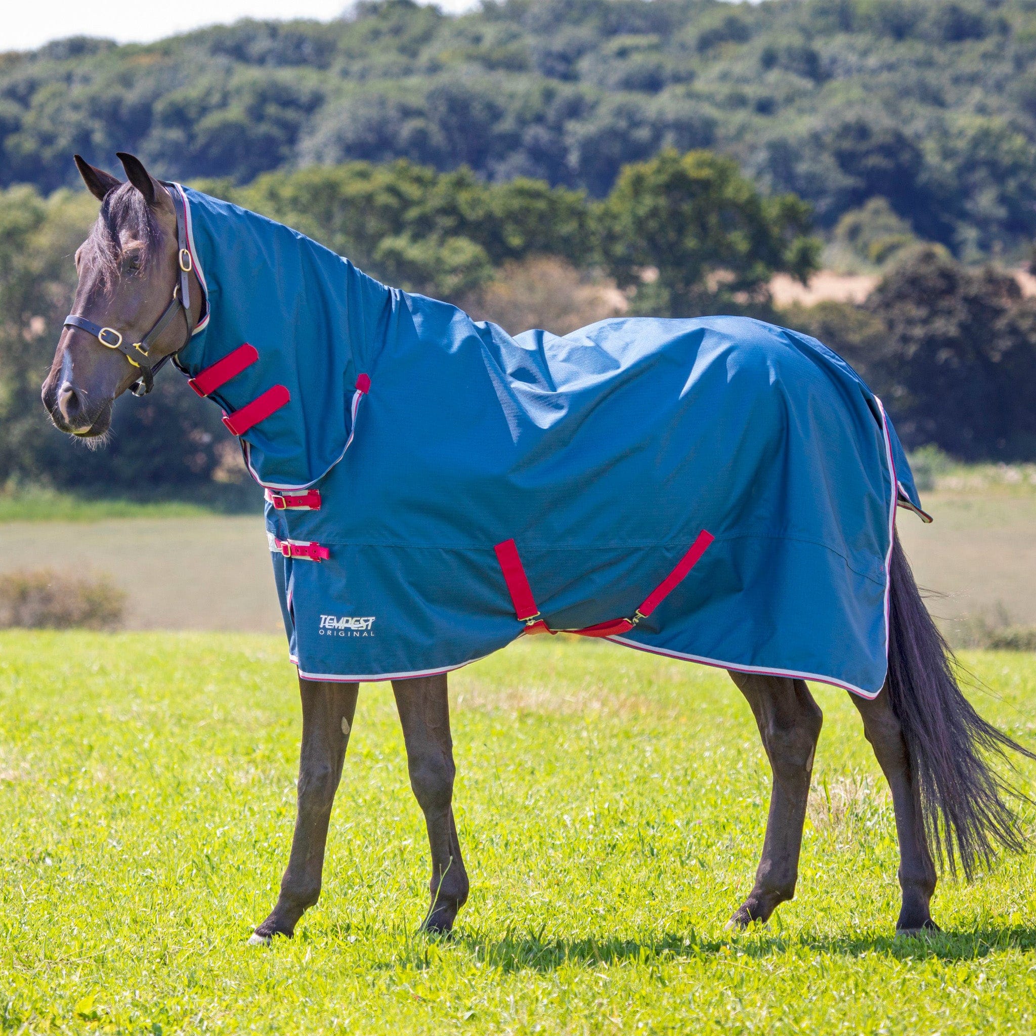 Shires Tempest Original 0g Combo Neck Turnout Rug