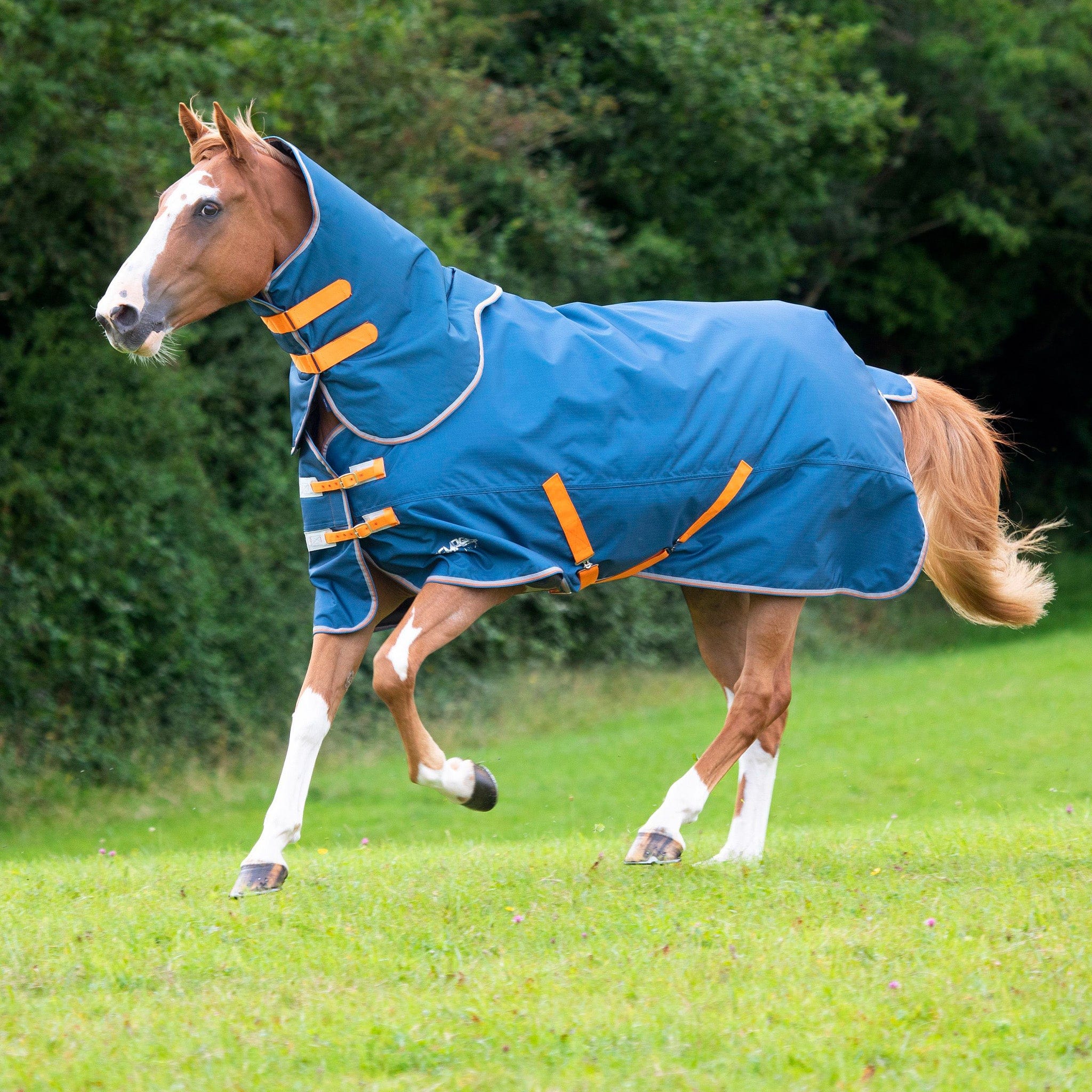 Turnout Rugs with Detachable Necks Free UK Delivery Available EQUUS