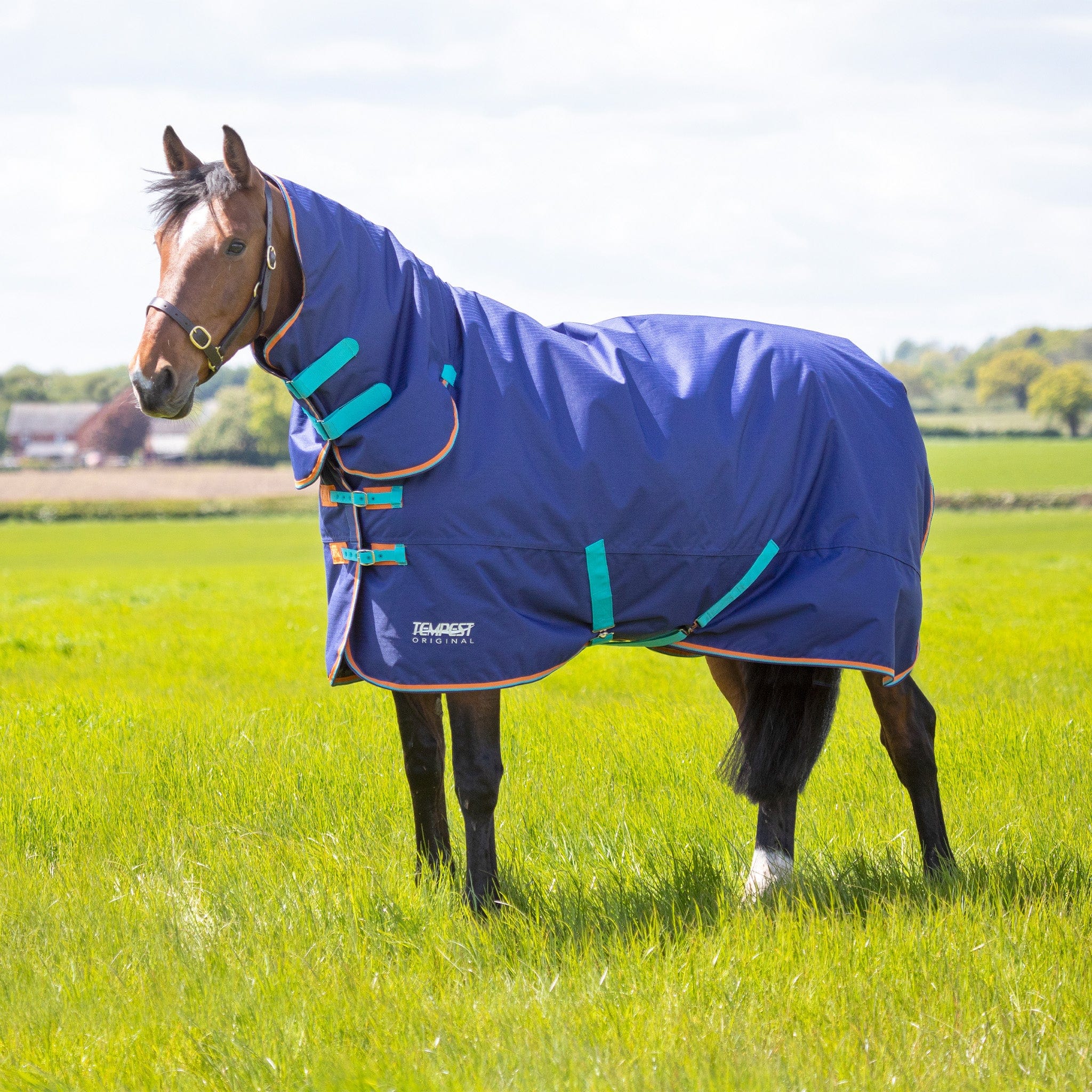 Horse rugs for sale hotsell