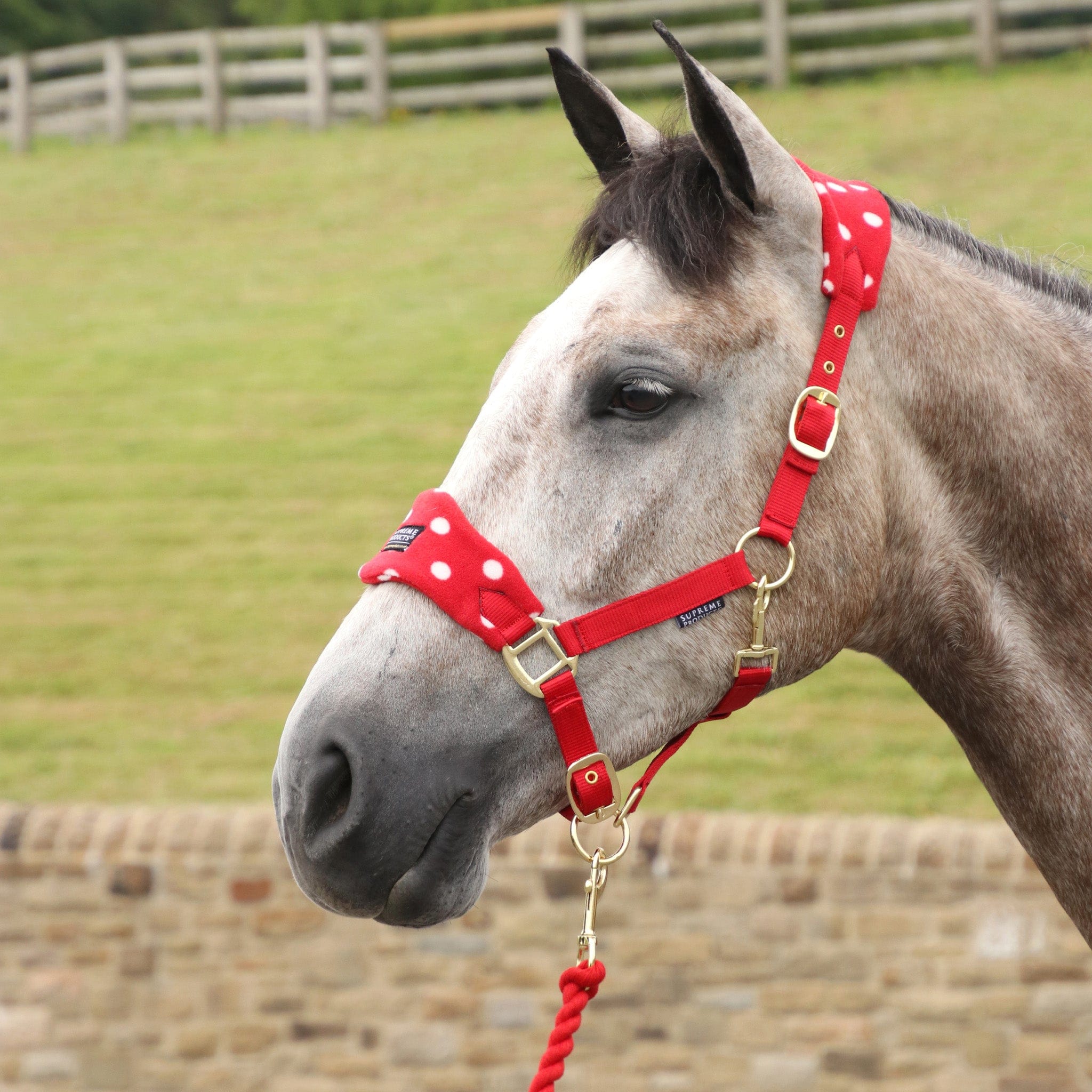 Supreme Products Dotty Fleece Headcollar and Lead Rope
