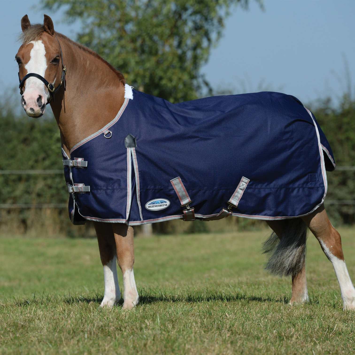 Weatherbeeta ComFiTec Essential 0g Standard Turnout Rug EQUUS