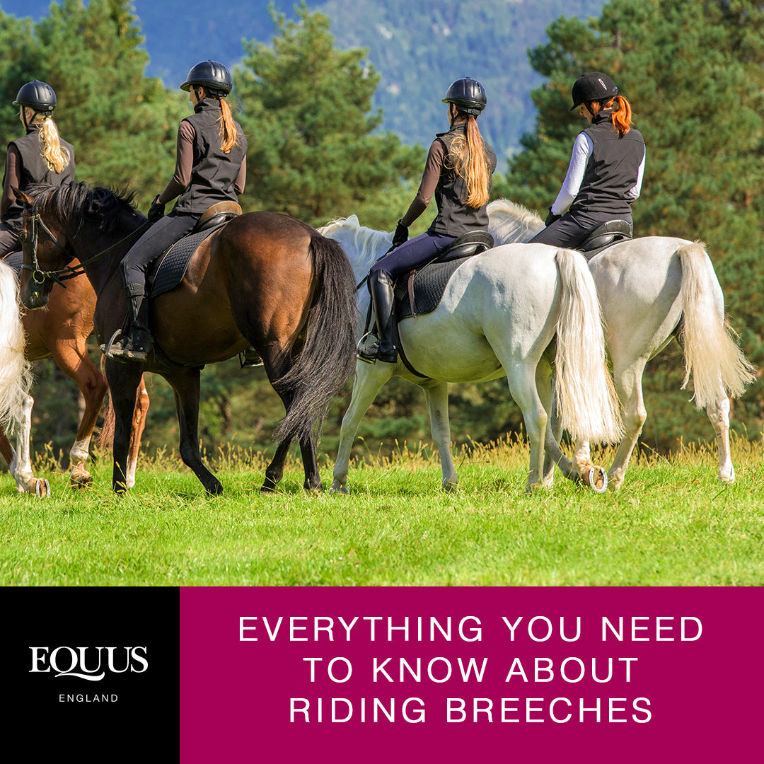 Everything You Need To Know About Riding Breeches