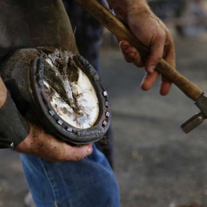 {"default":"farrier"}