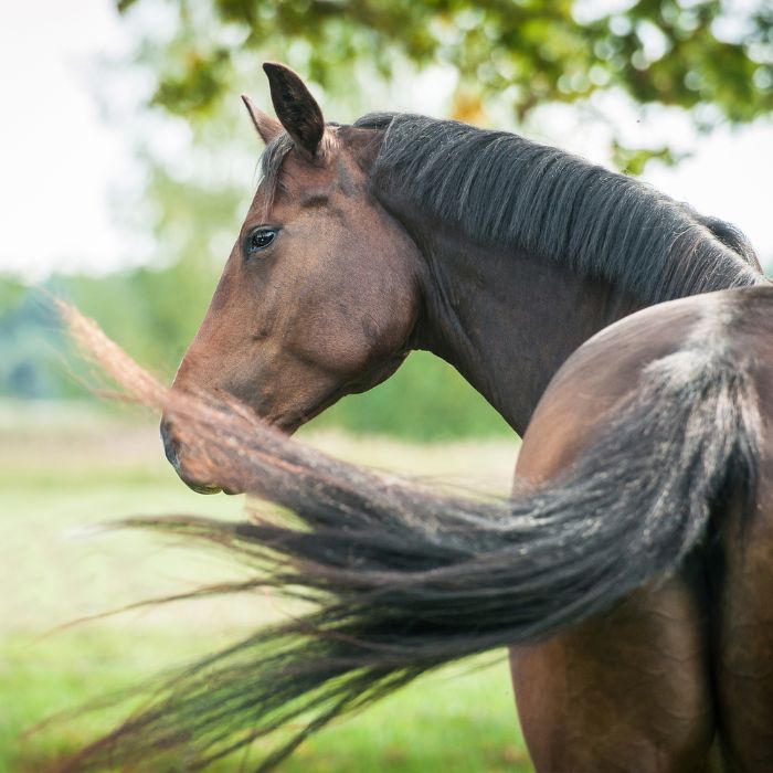 {"default":"fly control"}