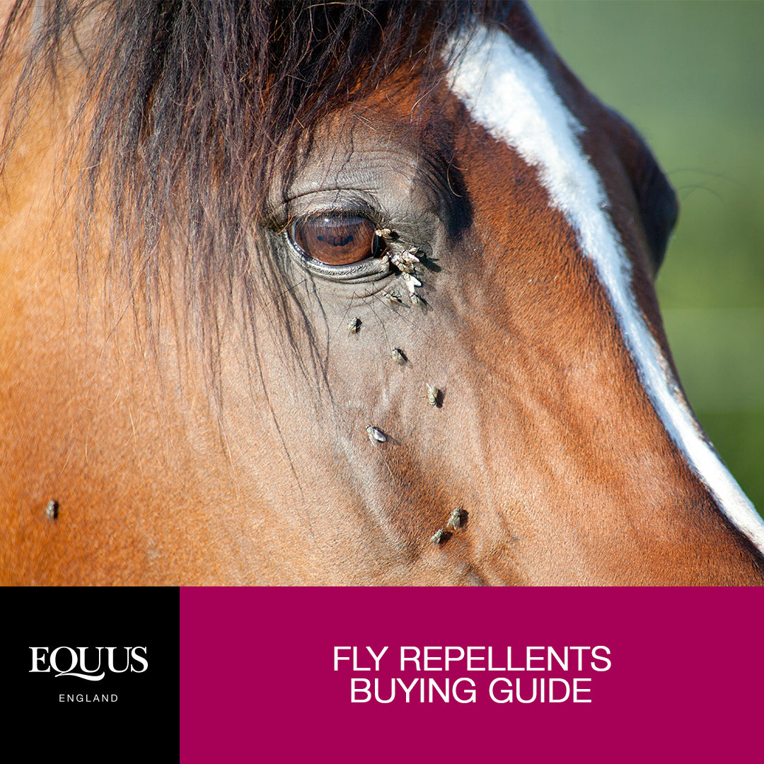 Fly Repellents Buying Guide