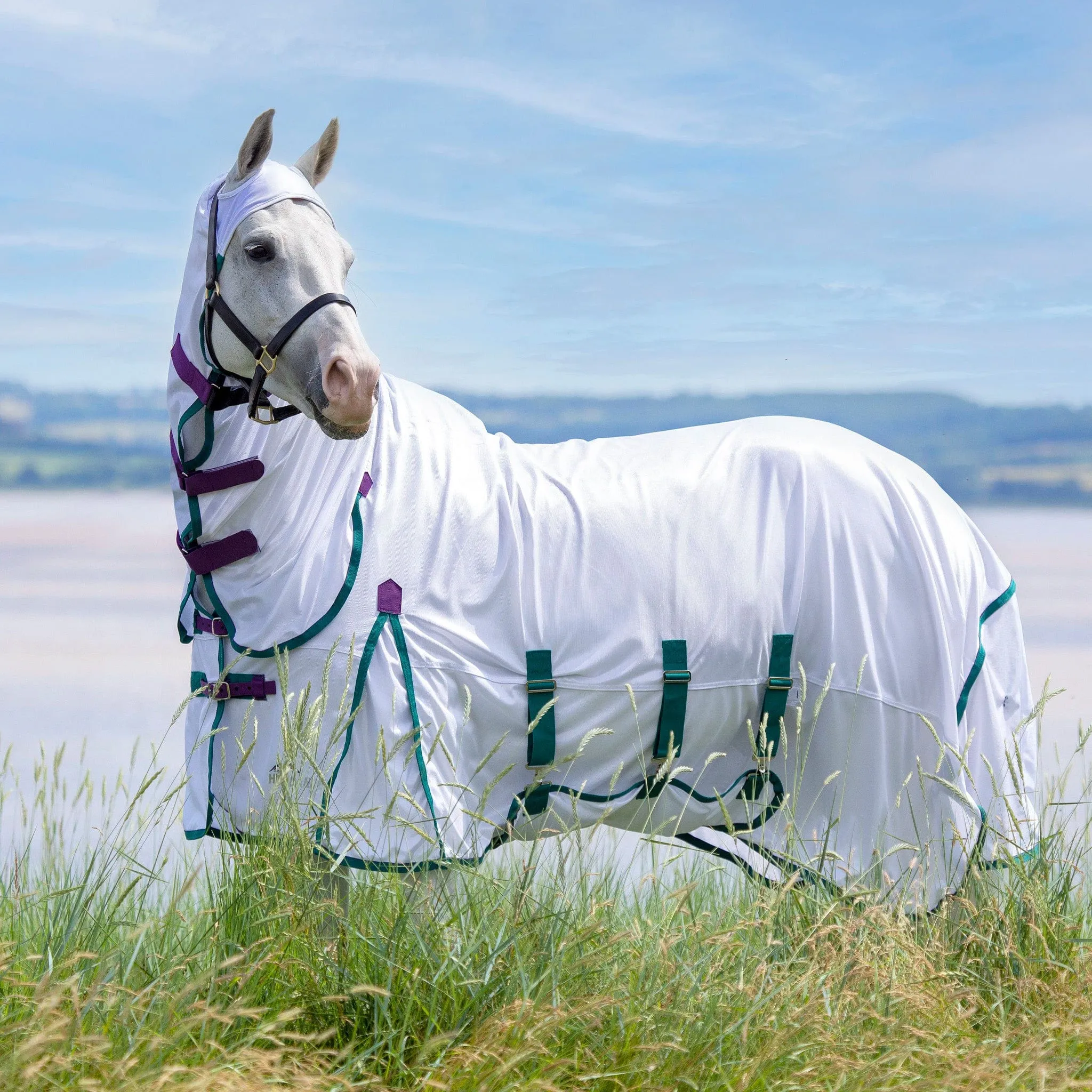 {"default":"Fly Rugs"}