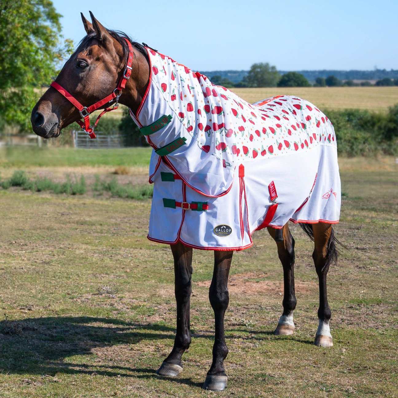 Horse Fly Rugs Fly Rugs and Sweet Itch Rugs For Horses EQUUS