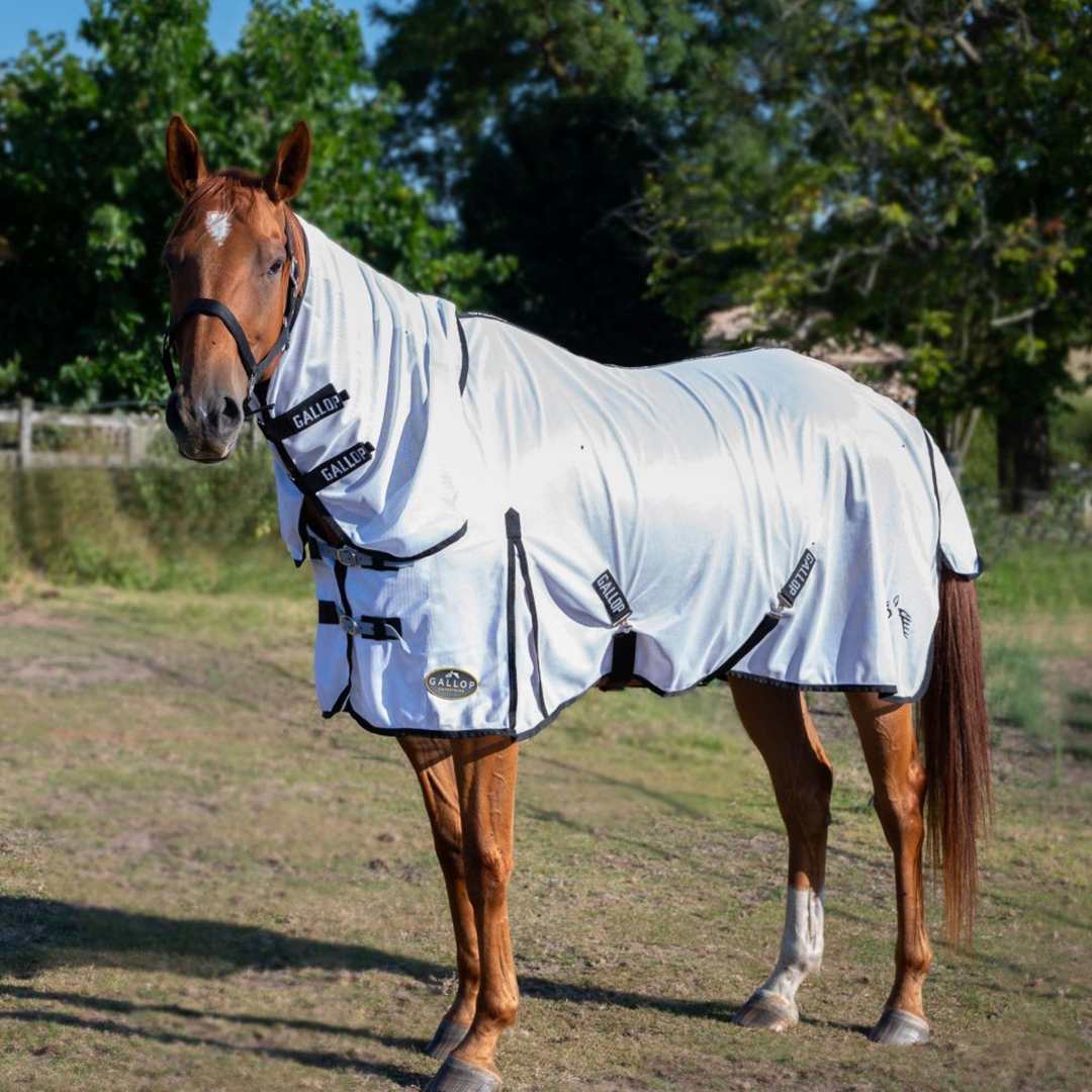 Horse Fly Rugs Fly Rugs and Sweet Itch Rugs For Horses EQUUS