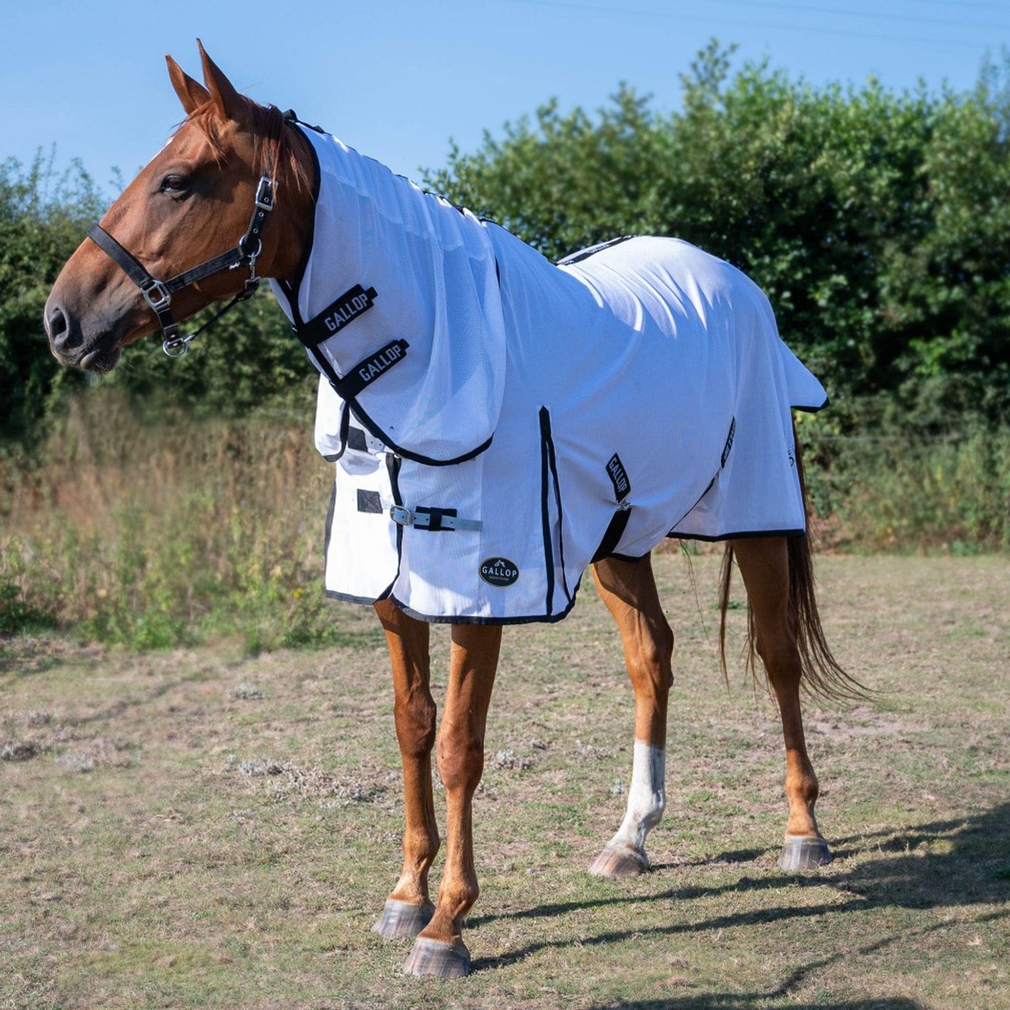 Gallop Classic Combo Fly Rug