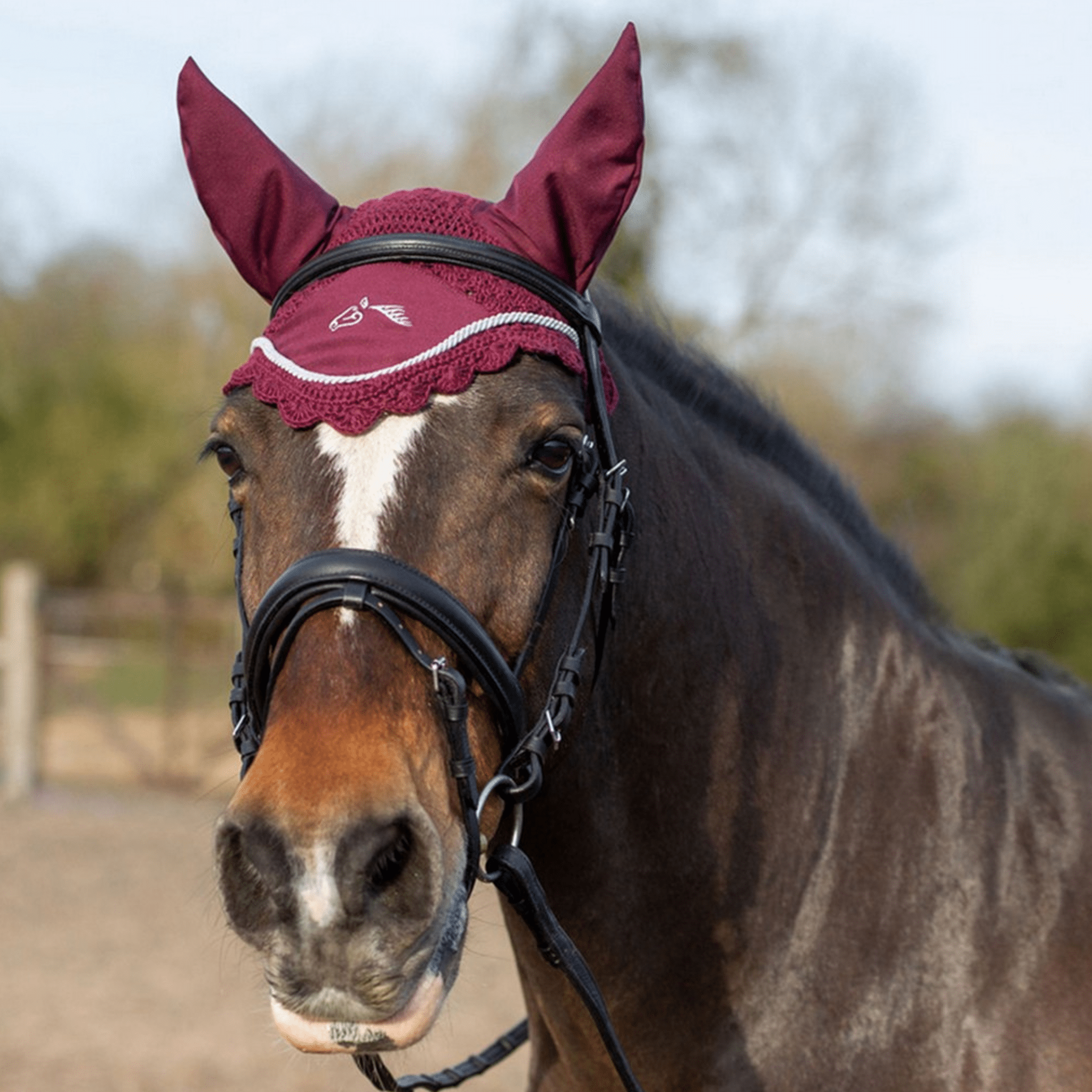 Gallop Classic Fly Veil - Full · Burgundy