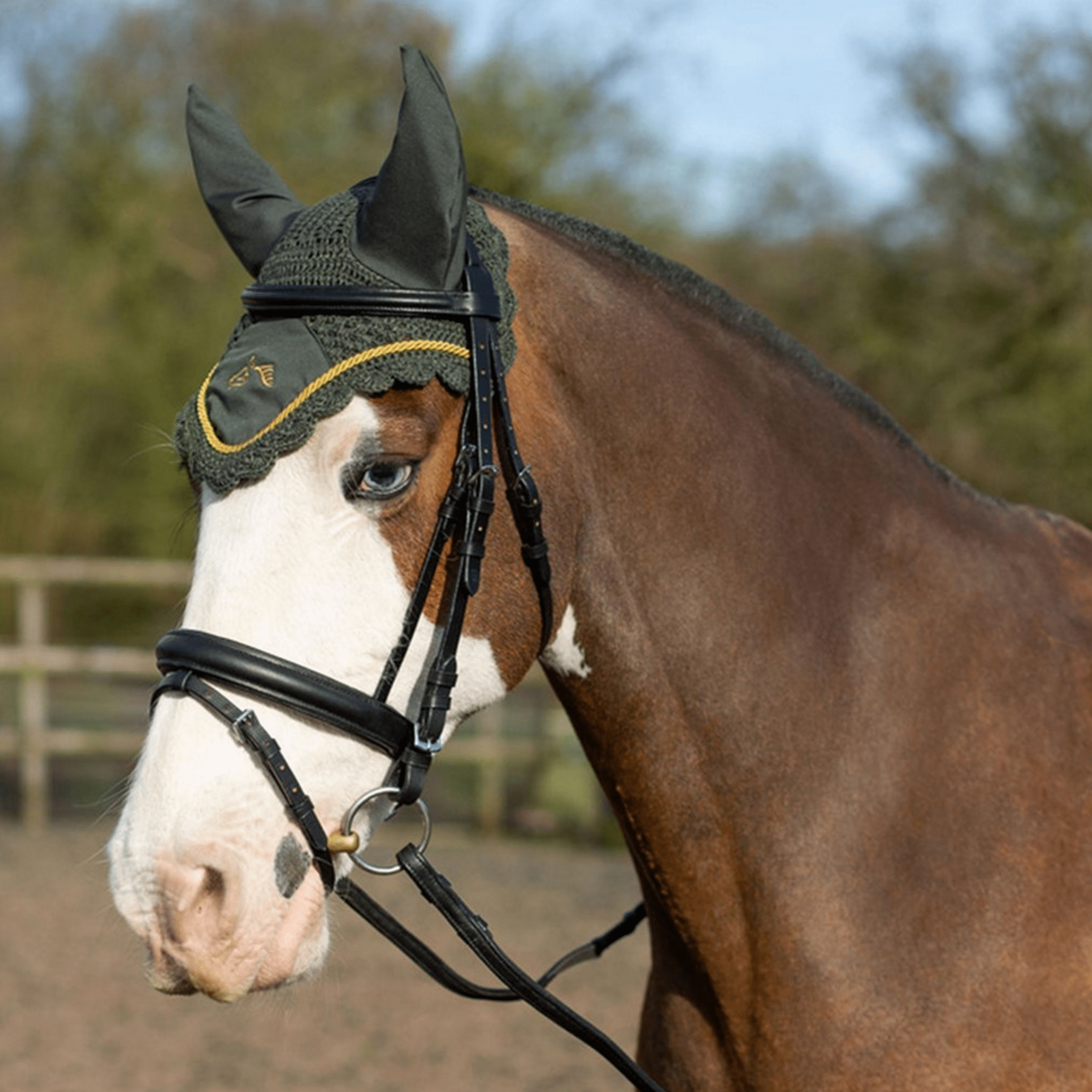 Gallop Classic Fly Veil - Full · Green