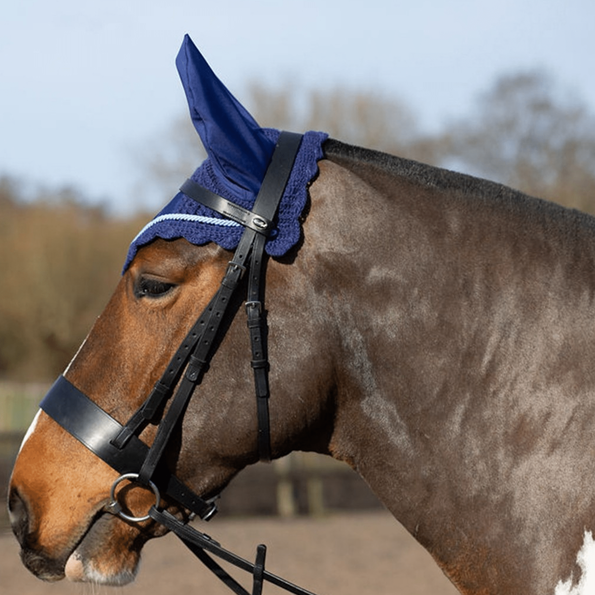 Gallop Classic Fly Veil