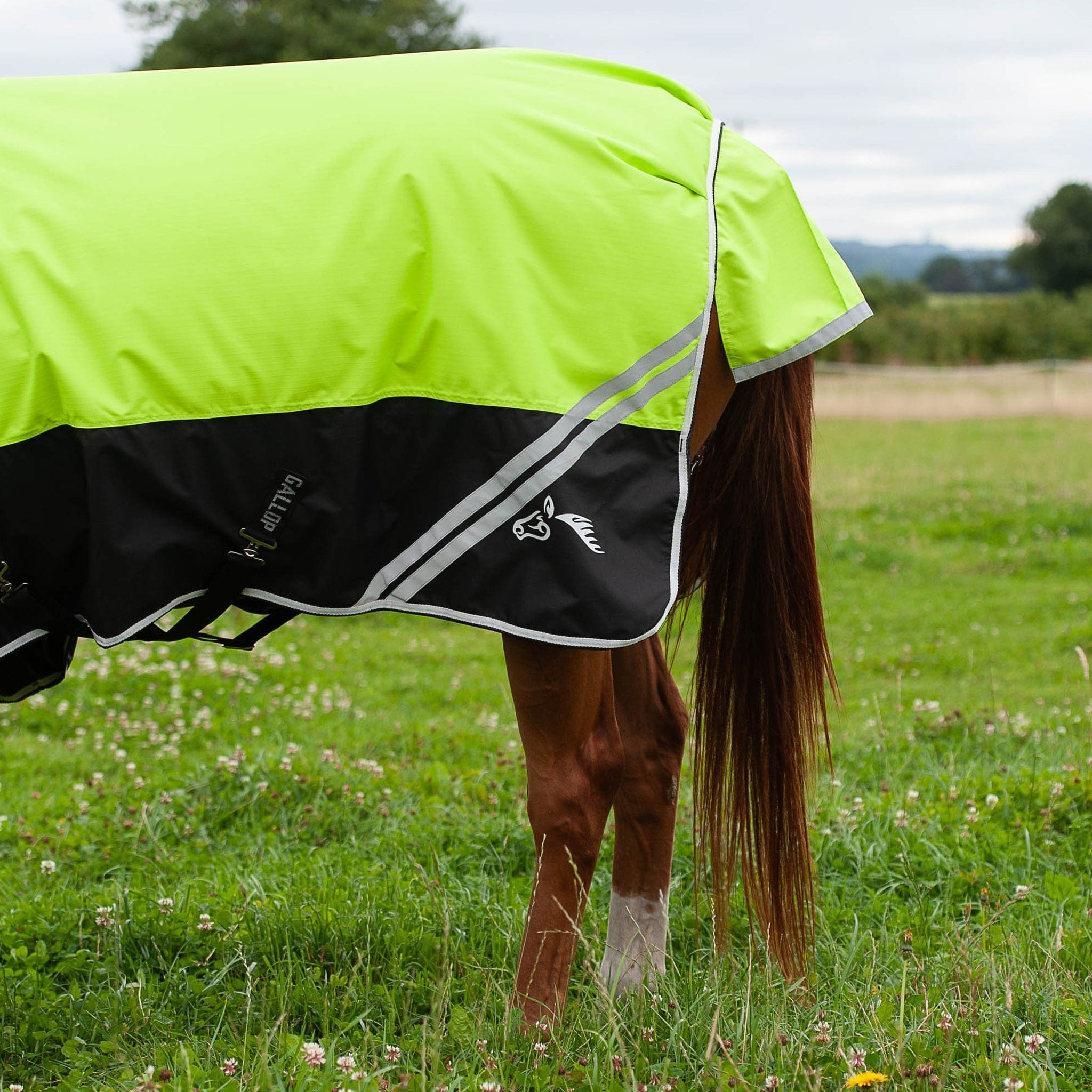 Mediumweight Turnout Rugs Medium Weight Horse Turnout Rugs EQUUS