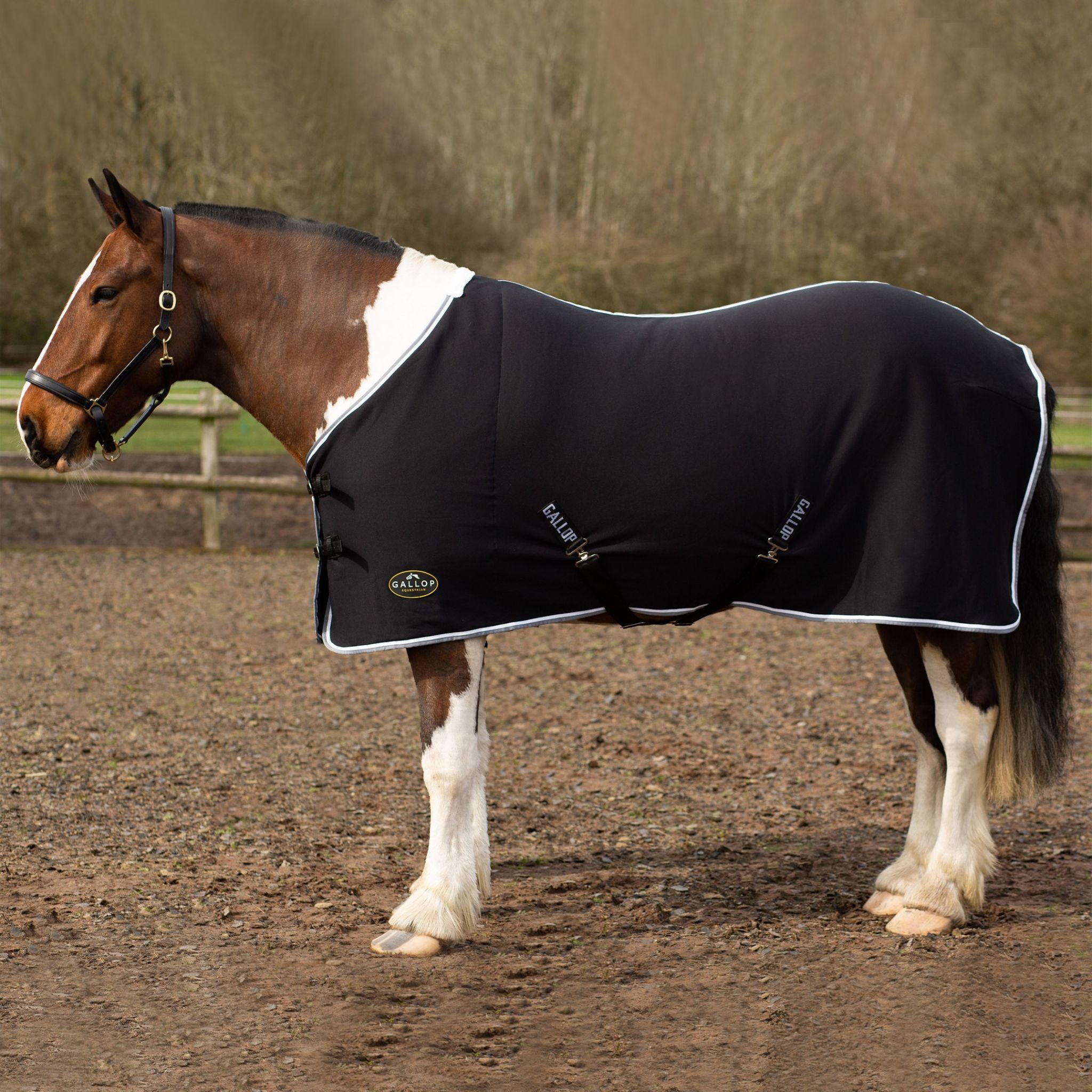 Gallop Jersey Cooler Rug - 5'9 · Black