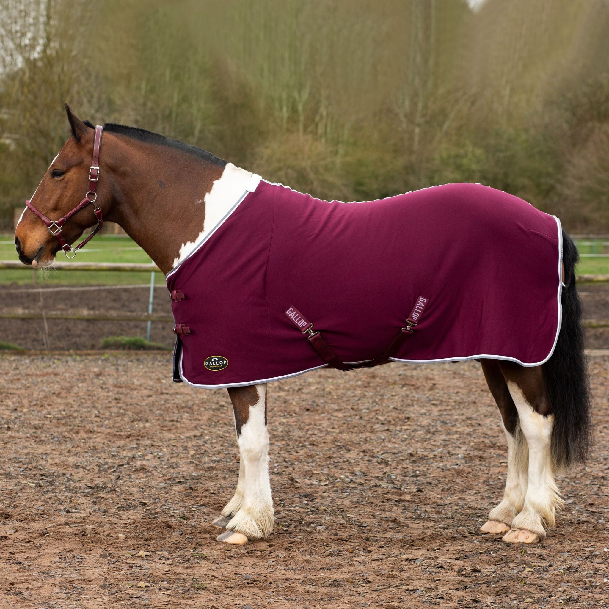 Gallop Jersey Cooler Rug - 6'0 · Burgundy