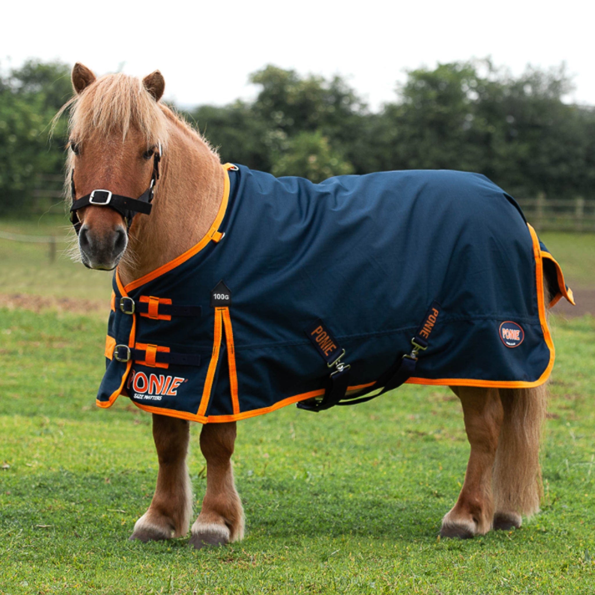 thumbnail image 2 of Turner Equestrian Lightweight 100g Waterproof Turnout Rug For Horses & Ponies - 600D - Green 2 of 11