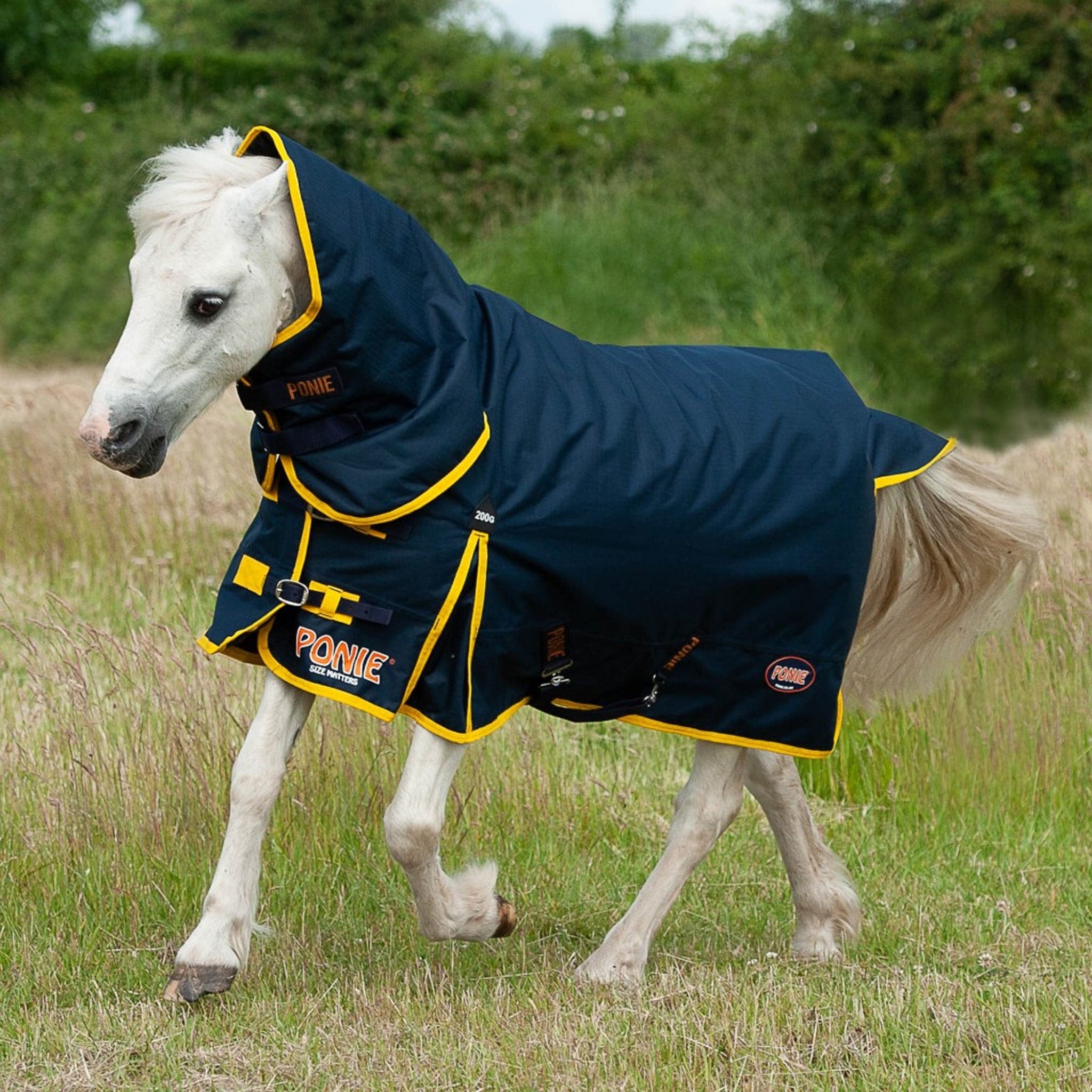 Gallop Ponie Mediumweight 200g Combo Neck Turnout Rug 701PONIE