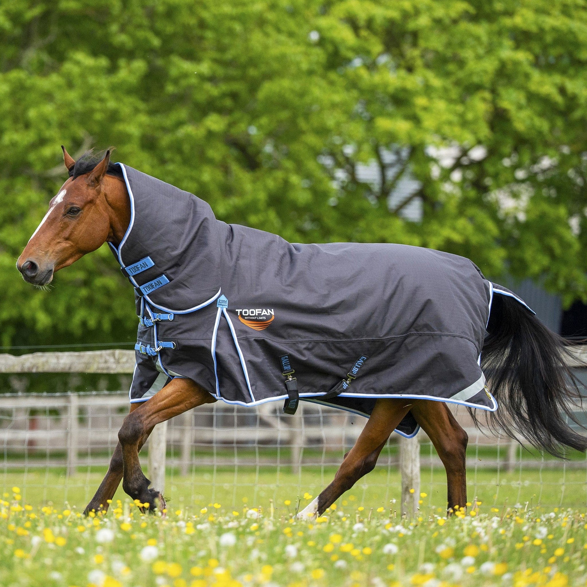 Gallop Toofan Heavyweight 350g Combo Neck Turnout Rug Charcoal 2-789