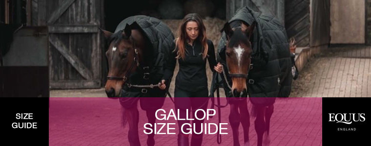 Gallop Rider Wear Size Guide