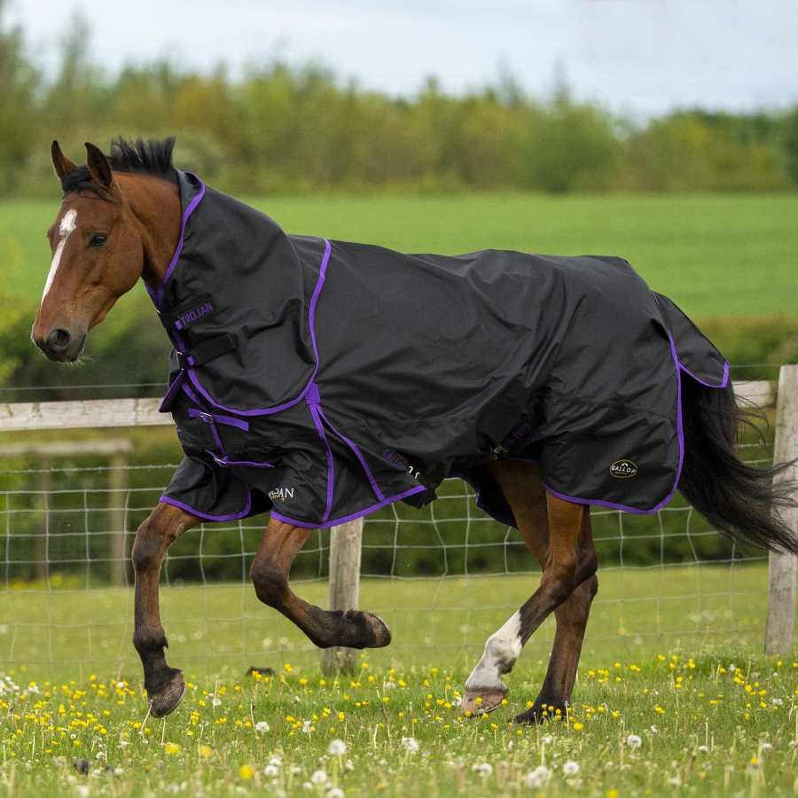 Turnout Rugs Horse Turnout Rugs EQUUS