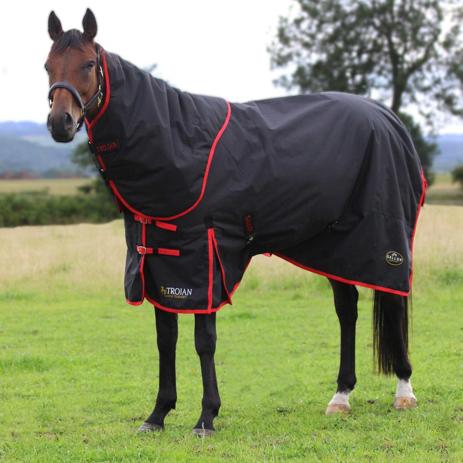 Turnout Rugs Horse Turnout Rugs EQUUS